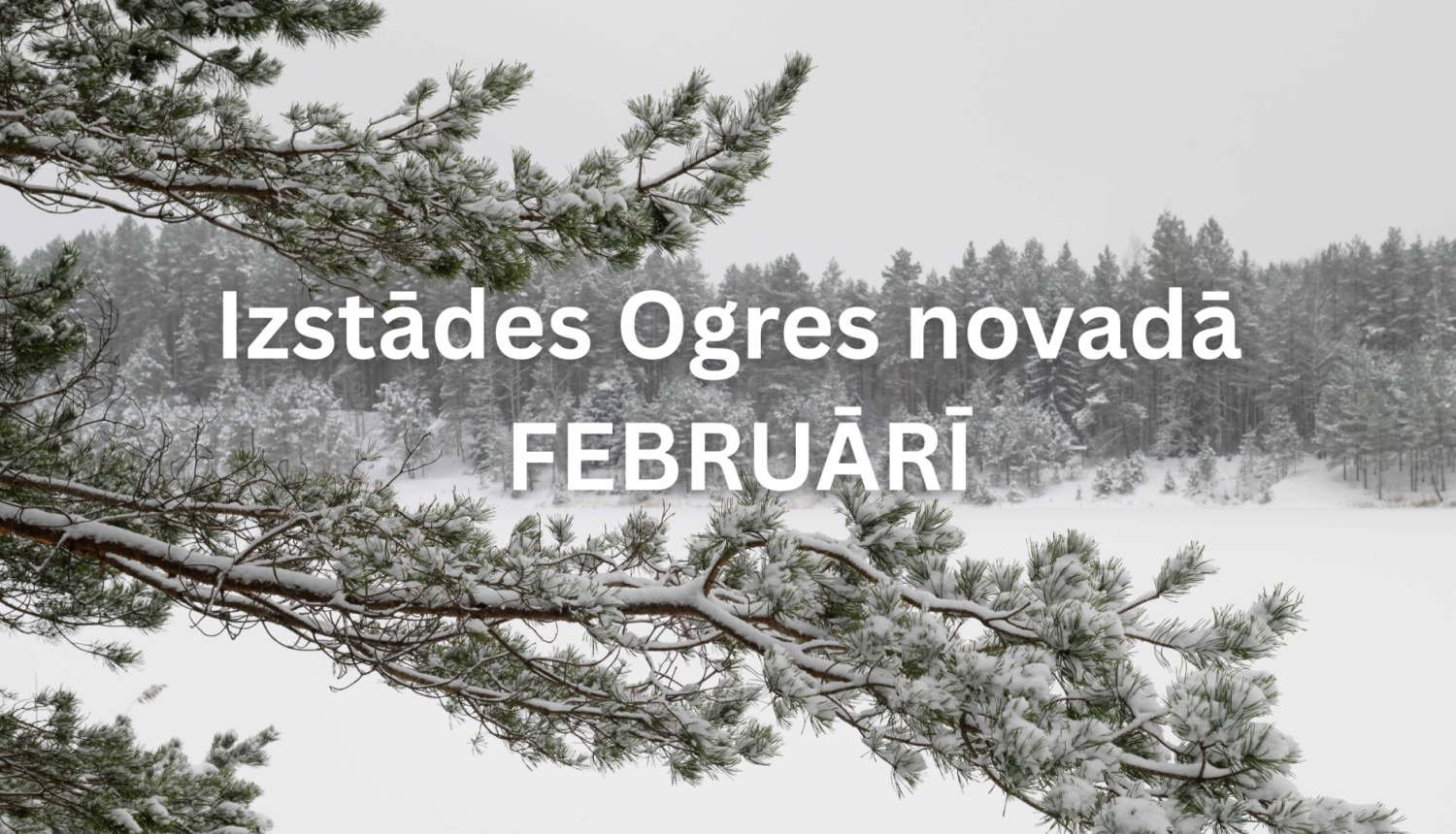 Izstādes februārī