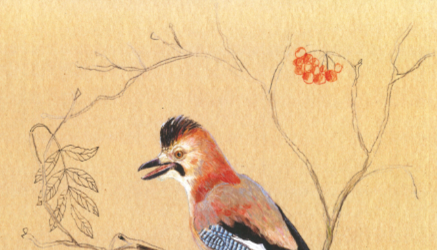 Apskatāma Ievas Jaundālderes (Santagoras) izstāde "Lidojums"