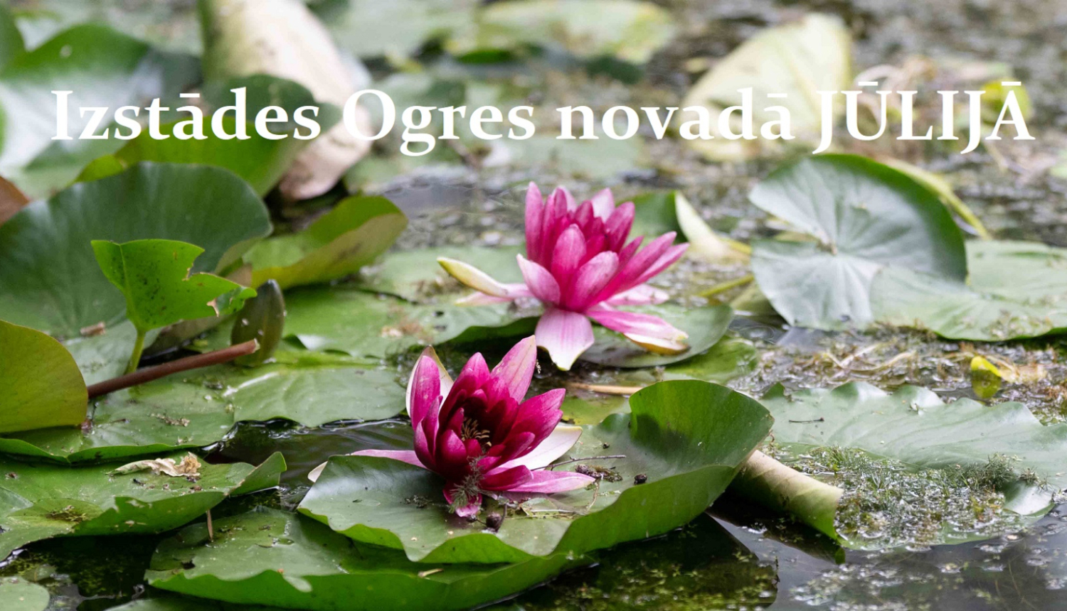 Izstādes Ogres novadā jūlijā - titulattēls - rozā ūdensrozes dīķī