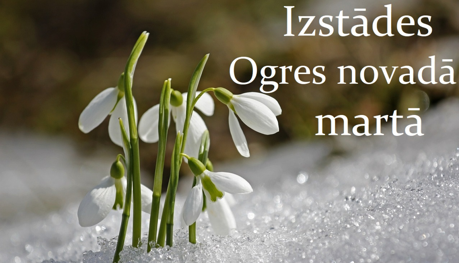 Izstādes Ogres novadā martā- titulattēls.