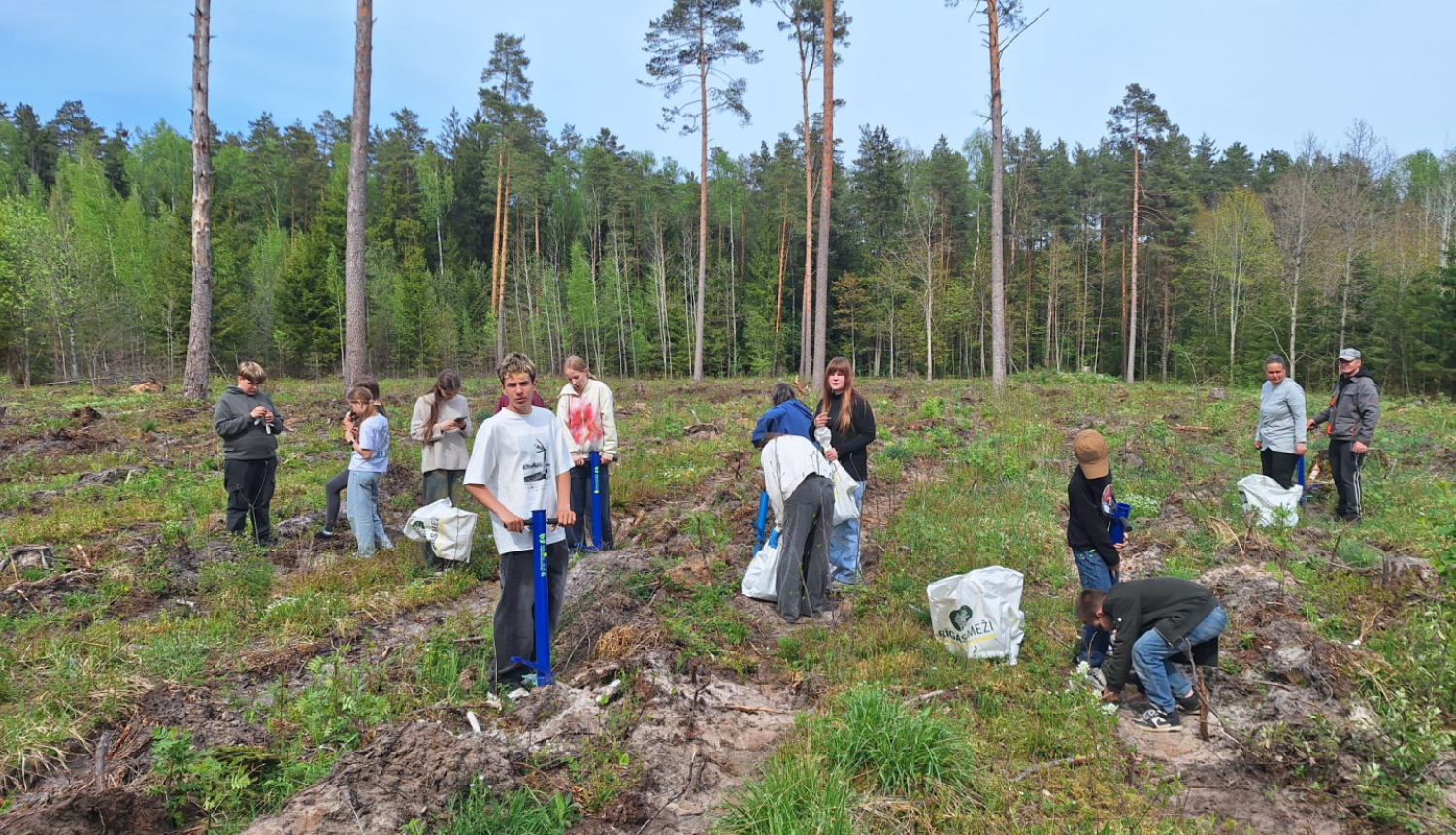 Šonedēļ Jumpravā Ogres novada pašvaldībai piederošā mežā tika iestādīti divi tūkstoši priedīšu. Talkoja 13 Jumpravas pamatskolas 6. klases audzēkņi ar audzinātāju. 