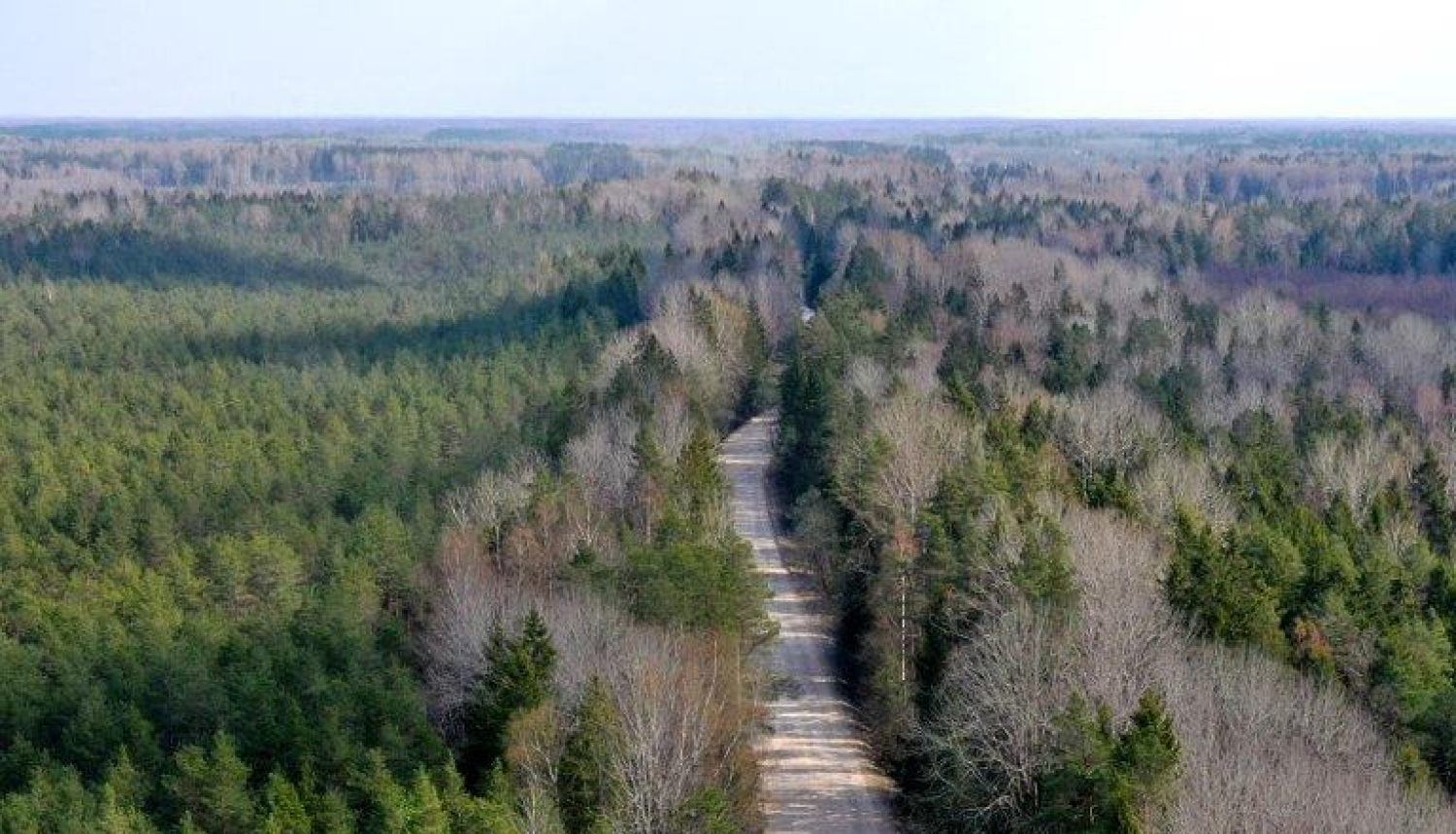 Arī 2020. gada budžets vērsts uz attīstību