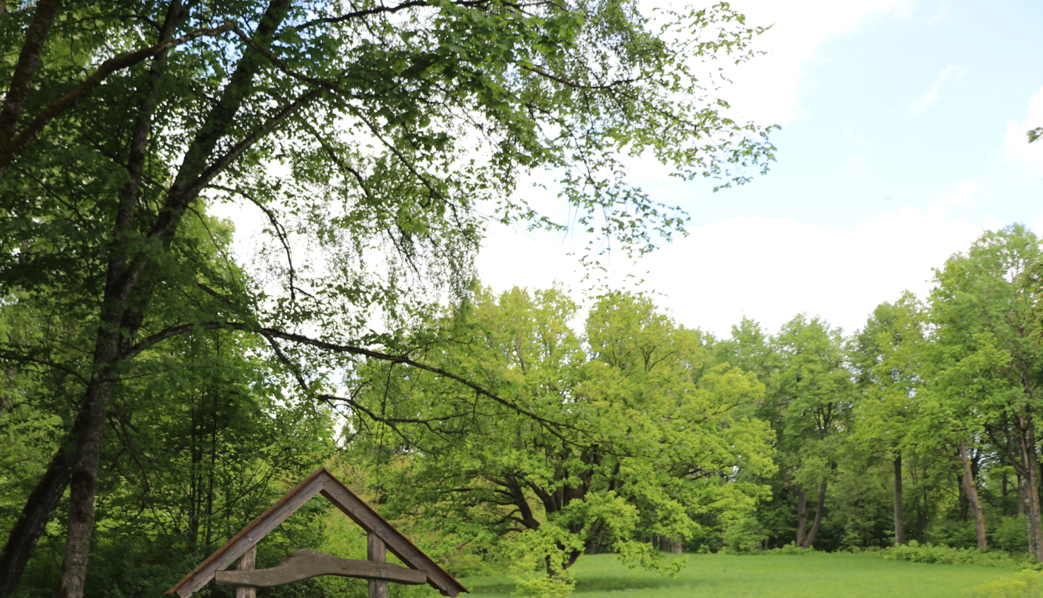 Biedrība “Skaņumāja” vēlas paplašināt pasākumu rīkošanas iespējas