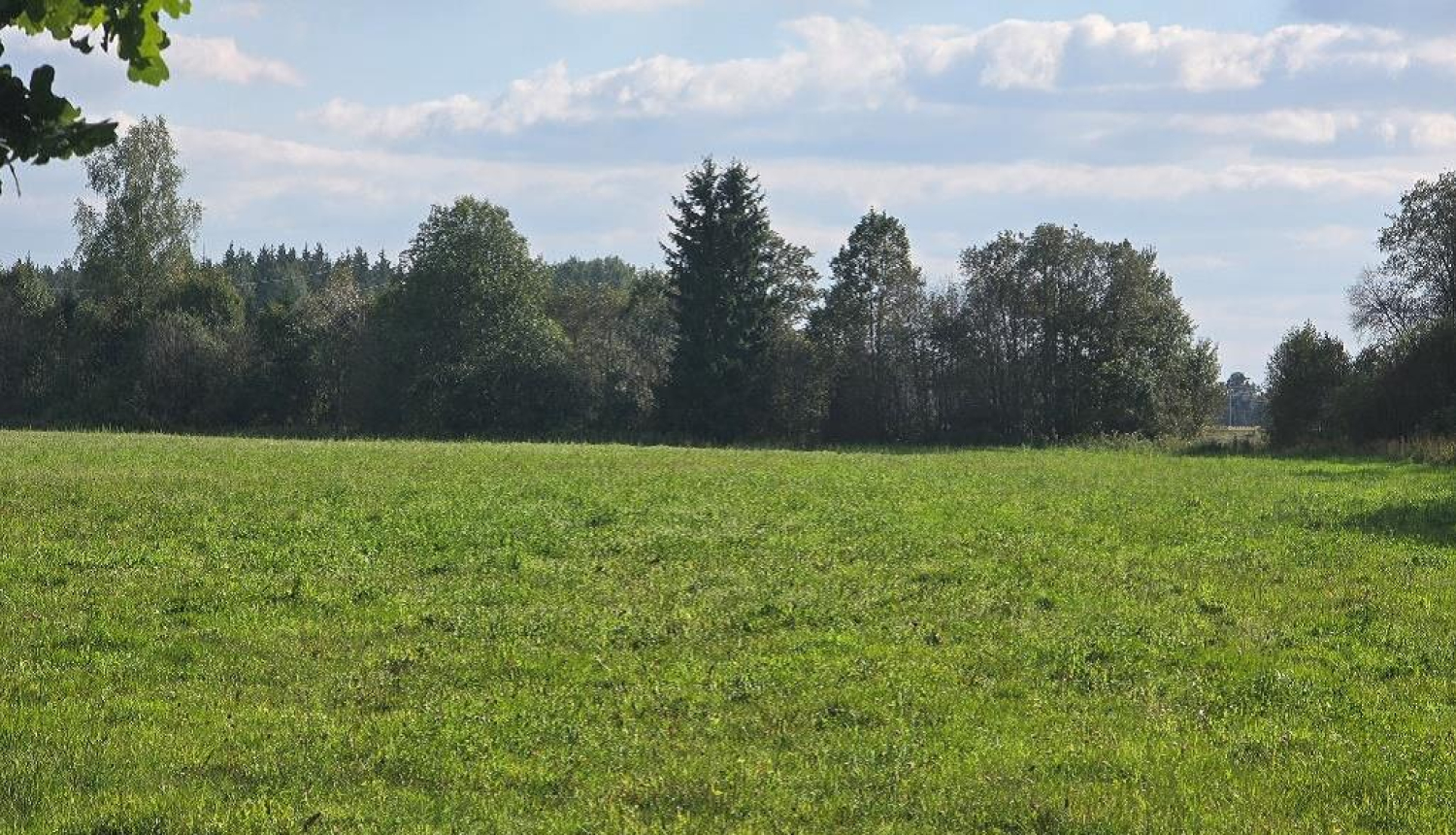 Iznomā Ogres novada pašvaldībai piekrītošās zemes vienības “Krieviņi”, Suntažu pag., Ogres nov., kadastra apzīmējums 7488 003 0515, daļu 3,17 ha platībā 