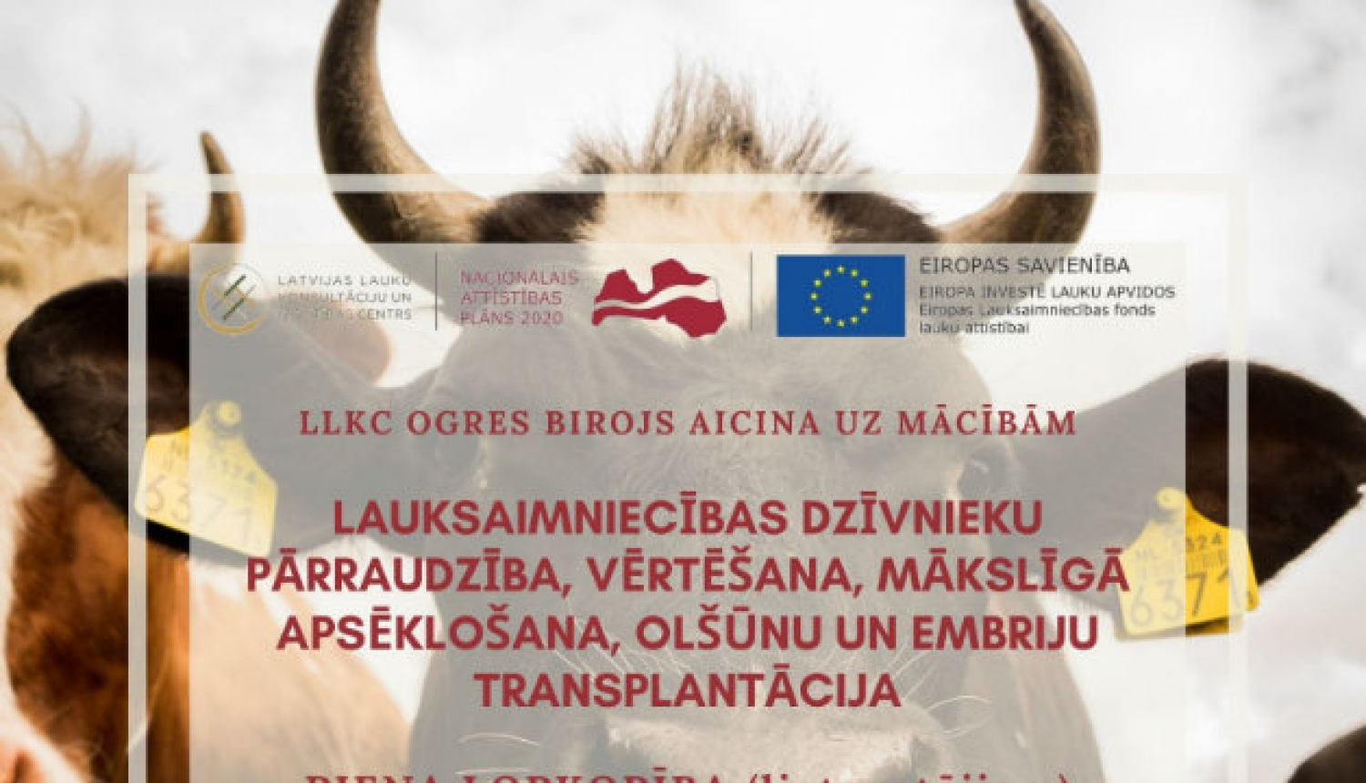 Aicina uz mācībām piena lopkopības nozarē