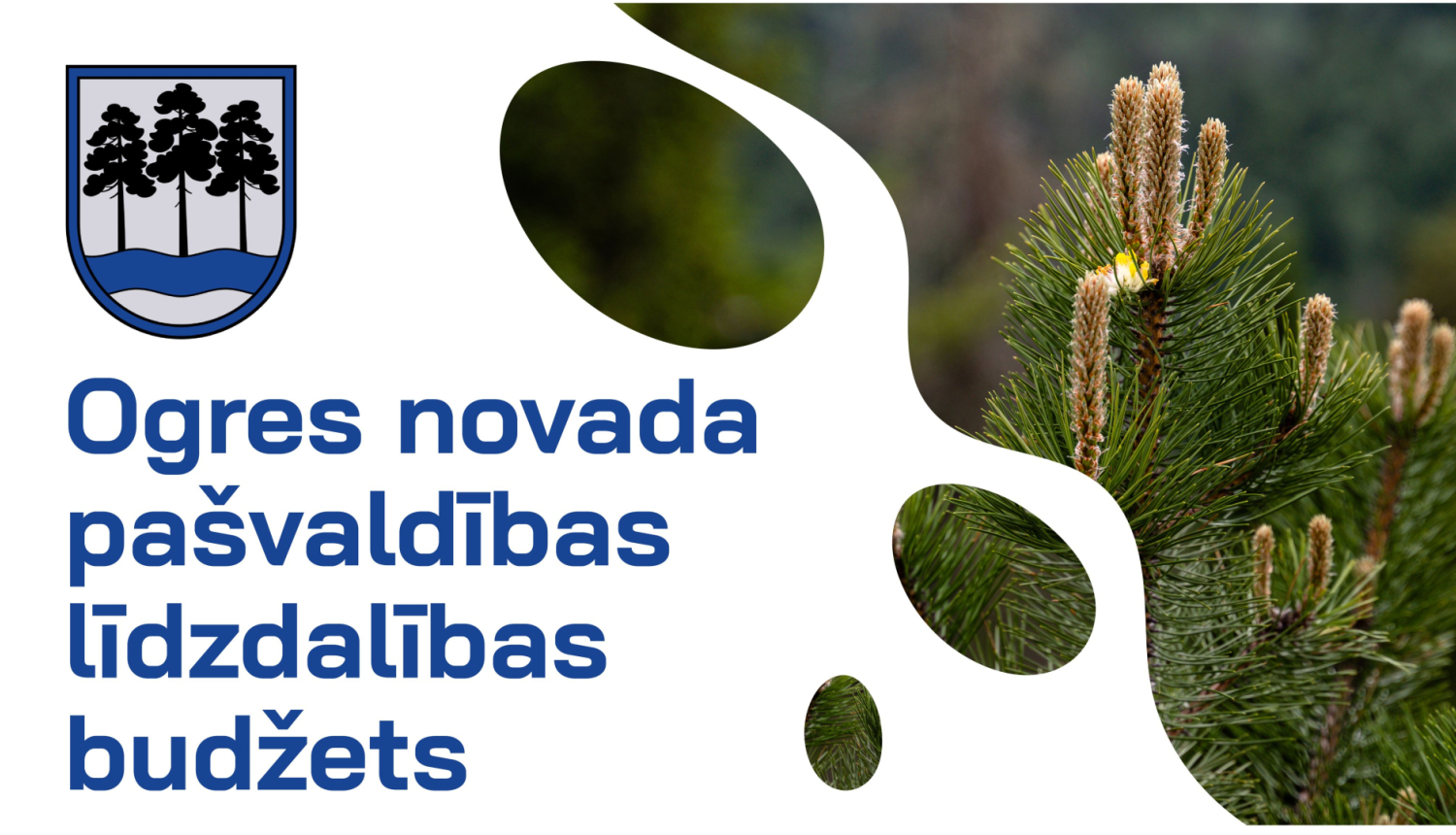 Ogres novada pašvaldības līdzdalības budžets. Attēlā novada ģerbonis ar trīs priedēm un priedes stādiņš