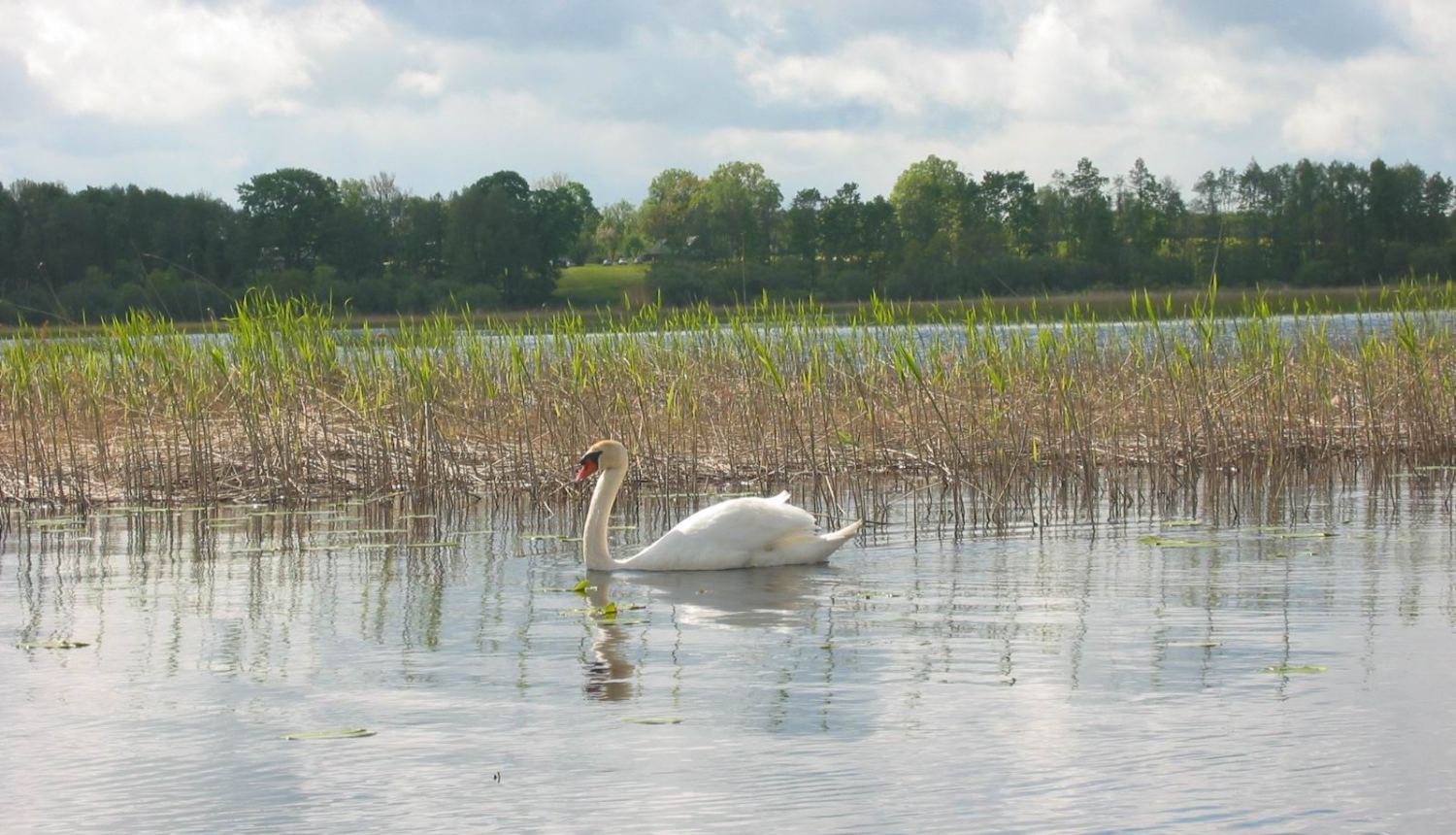 Notikusi Lobes ezera apsaimniekošanas plāna apspriešana