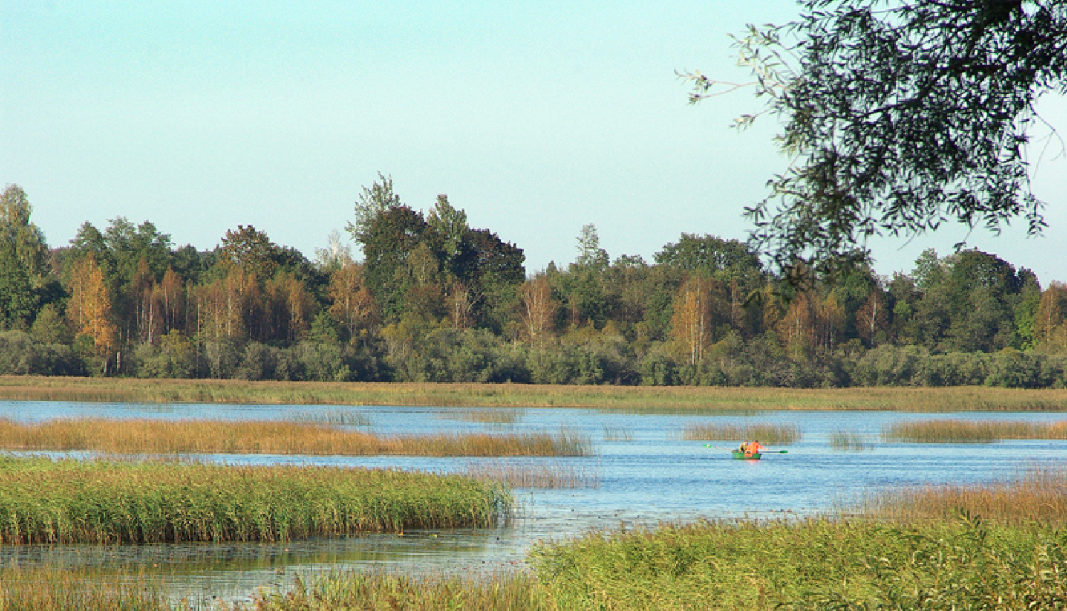 Par Lobes ezera apsaimniekošanas plāna izstrādi
