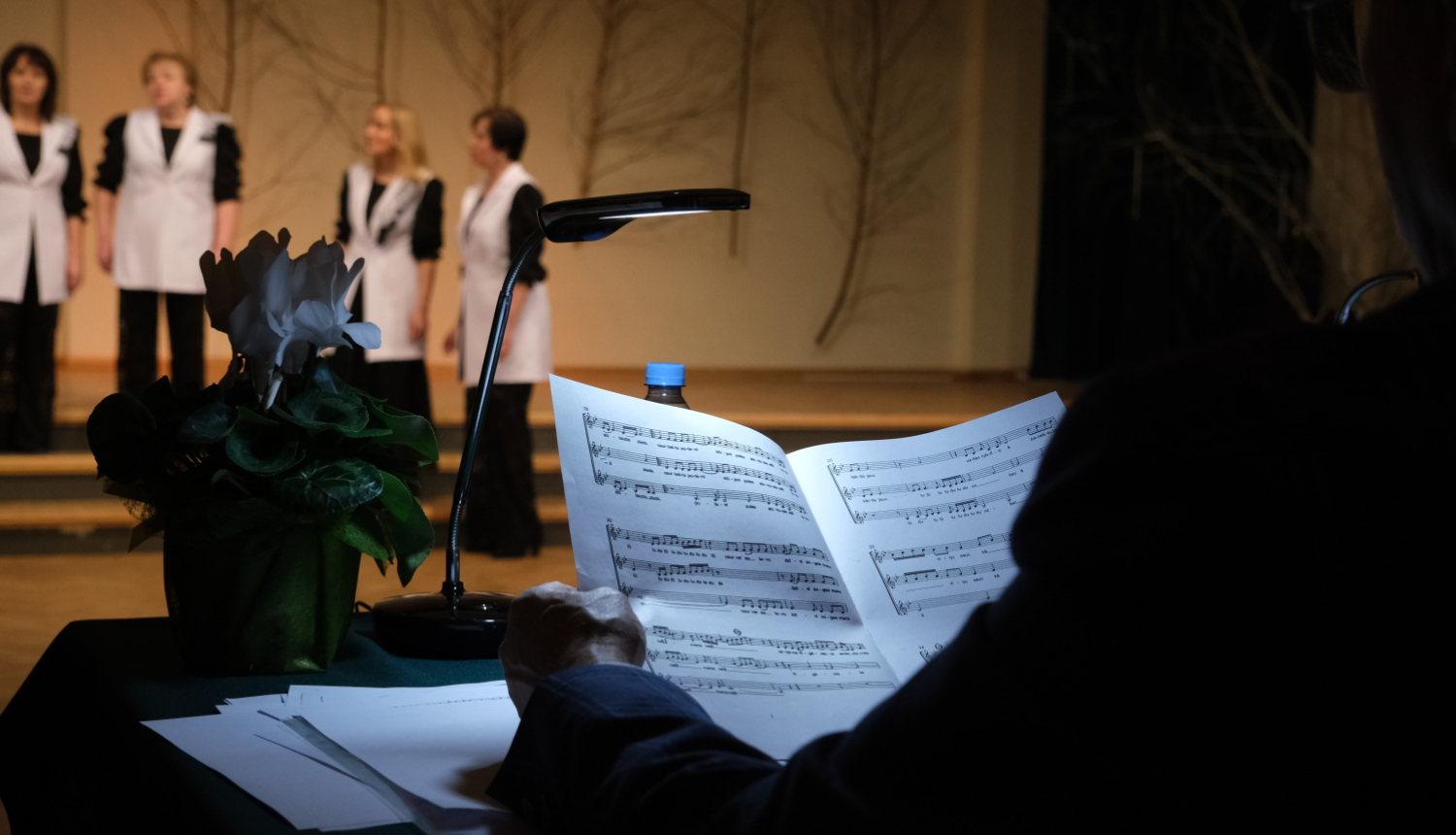 Ogres novada vokālo ansambļu skate - notis