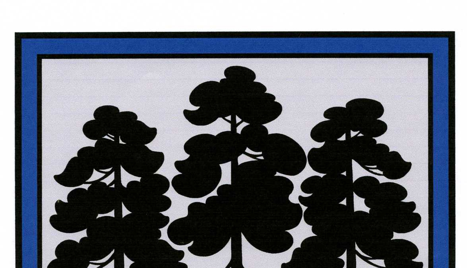 Apstiprināta pašvaldības reorganizācijas plāna konstatējuma daļa