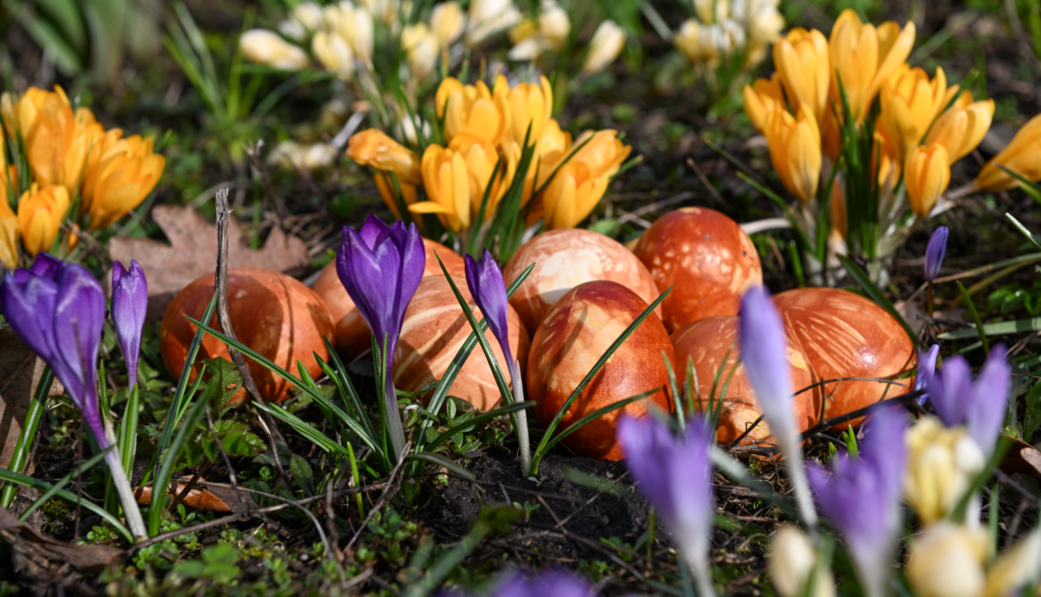Aicinājums pieteikties pavasara tirdziņiem Ogres novadā