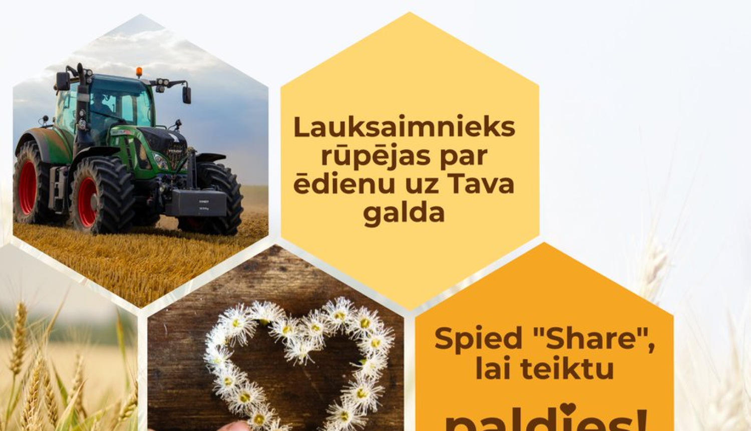 Padomi lauksaimnieka īpašuma drošībai