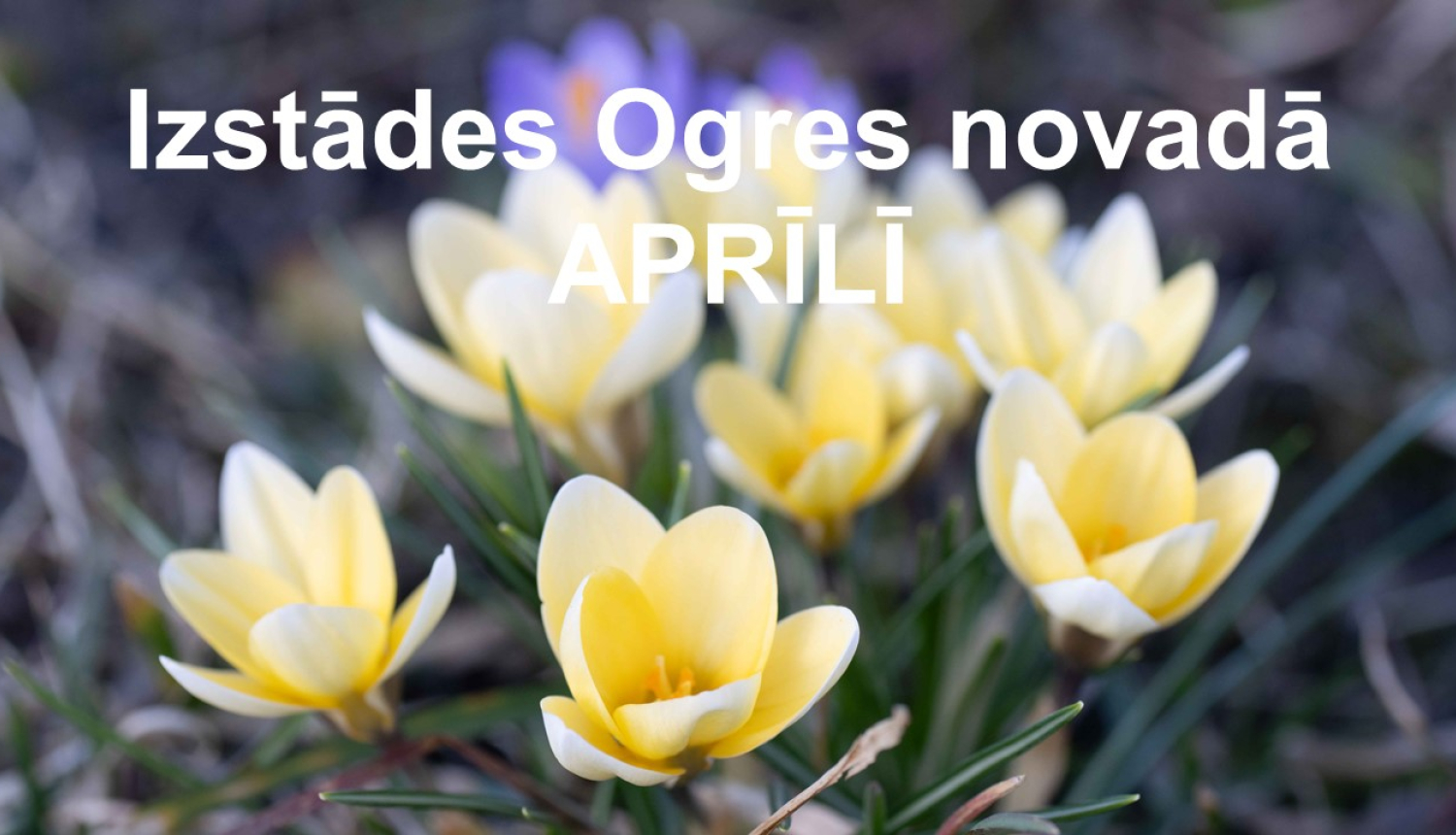 Izstādes Ogres novadā aprīlī