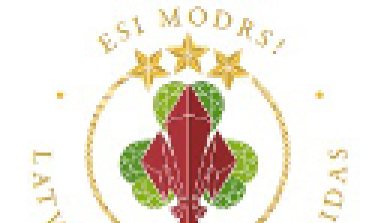 Skautu un gaidu nodarbības notiks Ogresgala tautas namā