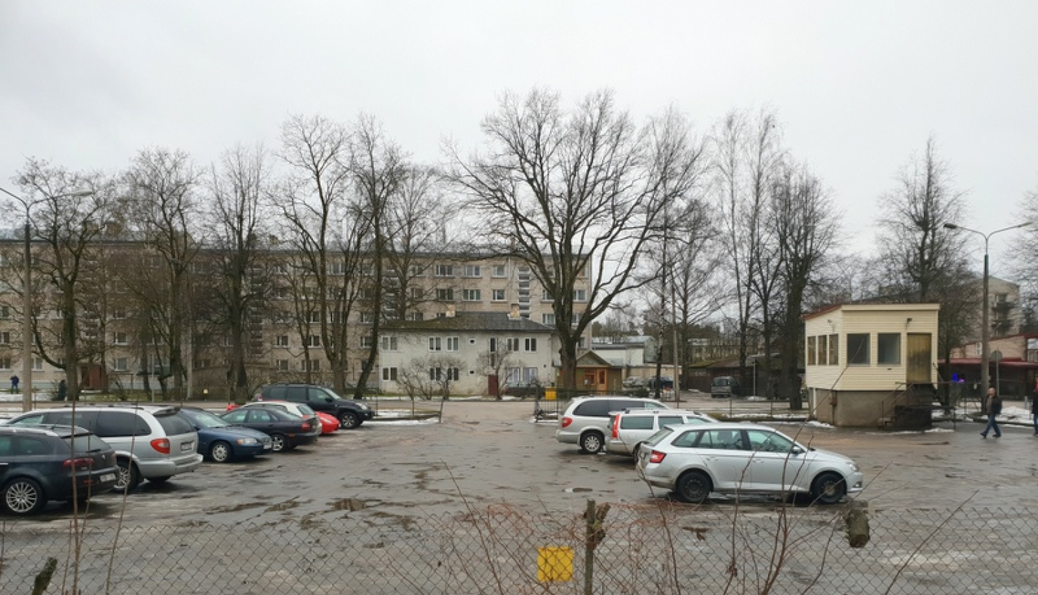 Paziņojums par publisko apspriešanu koku ciršanu Skolas ielā, Ogrē