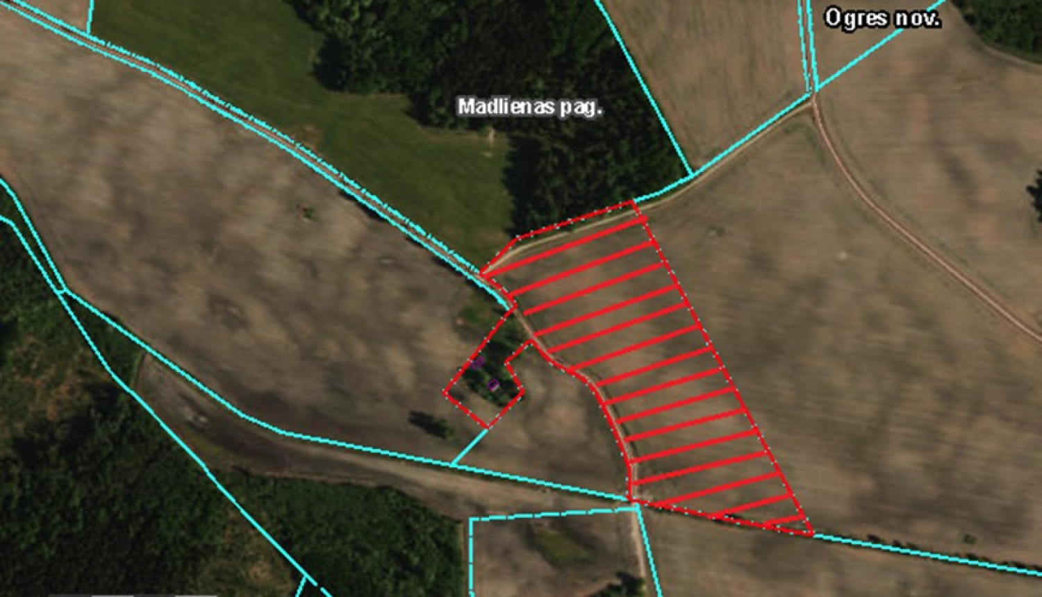 Iznomā zemes vienību “Smilgas” Madlienas pagastā, Ogres novadā