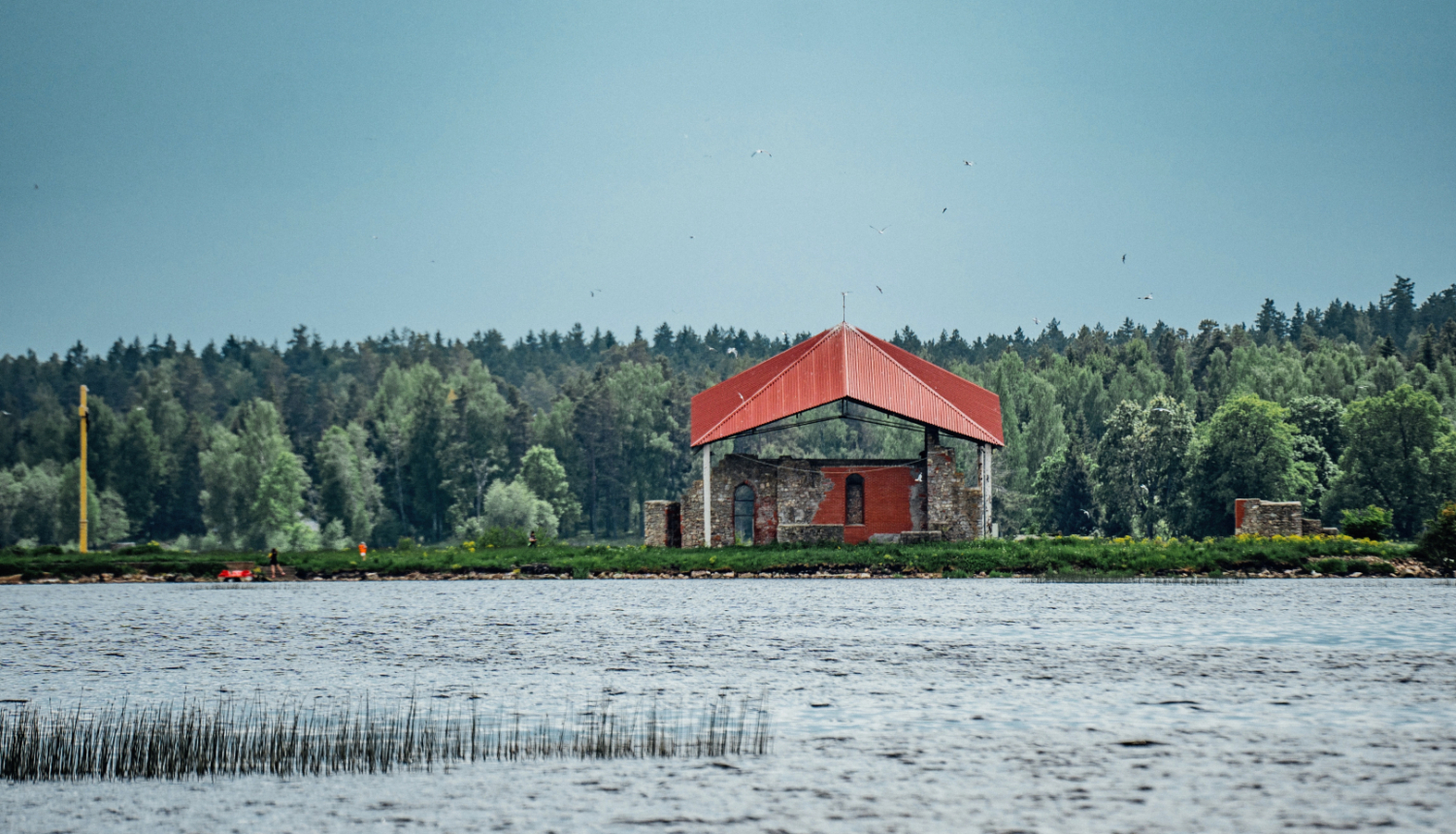 Sv. Meinarda sala Ikšķilē. Speciālisti aicina Ogres novada iedzīvotājus un viesus saudzēt dabu un līdz 15. jūlijam nedoties uz Svētā Meinarda salu Daugavā Ikšķilē, kur šobrīd ligzdo savvaļas putni.