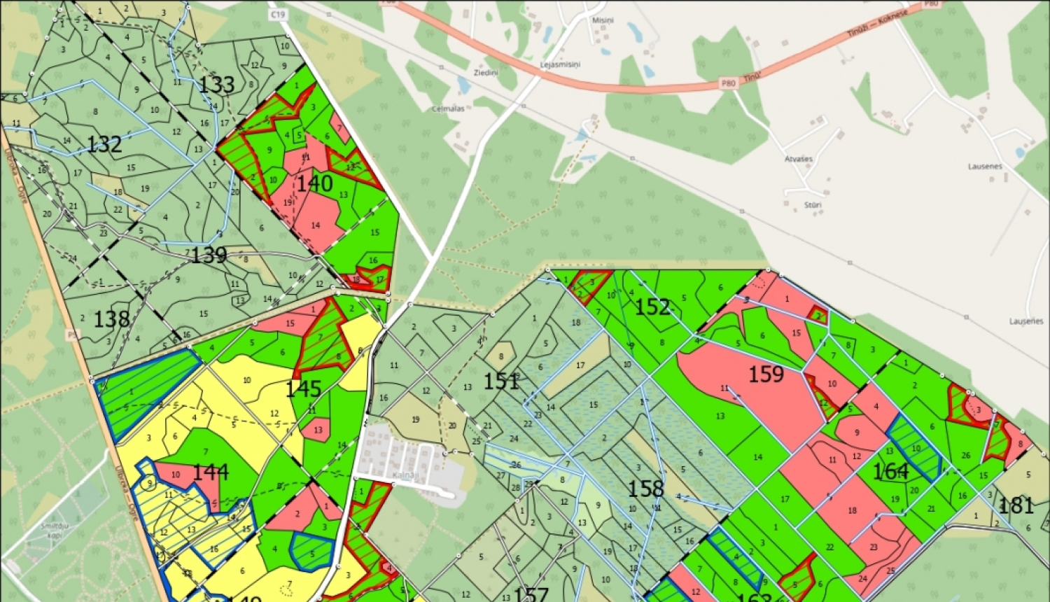 Meža ainaviskais plāns