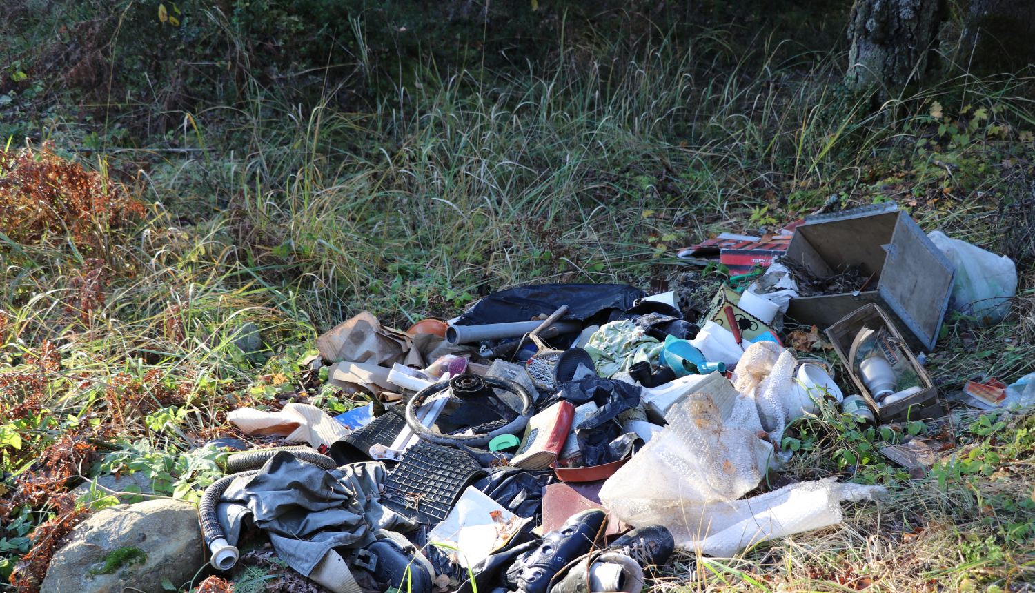 Pievērsīs pastiprinātu uzmanību sabiedriskās kārtības ievērošanai