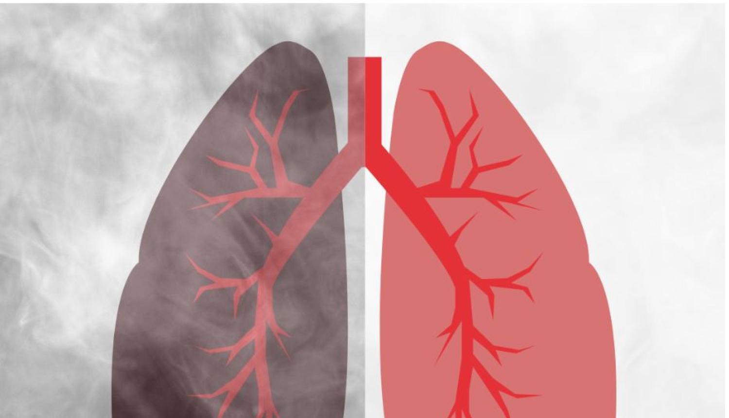 Pasaules diena bez tabakas – “Apņemies atmest”
