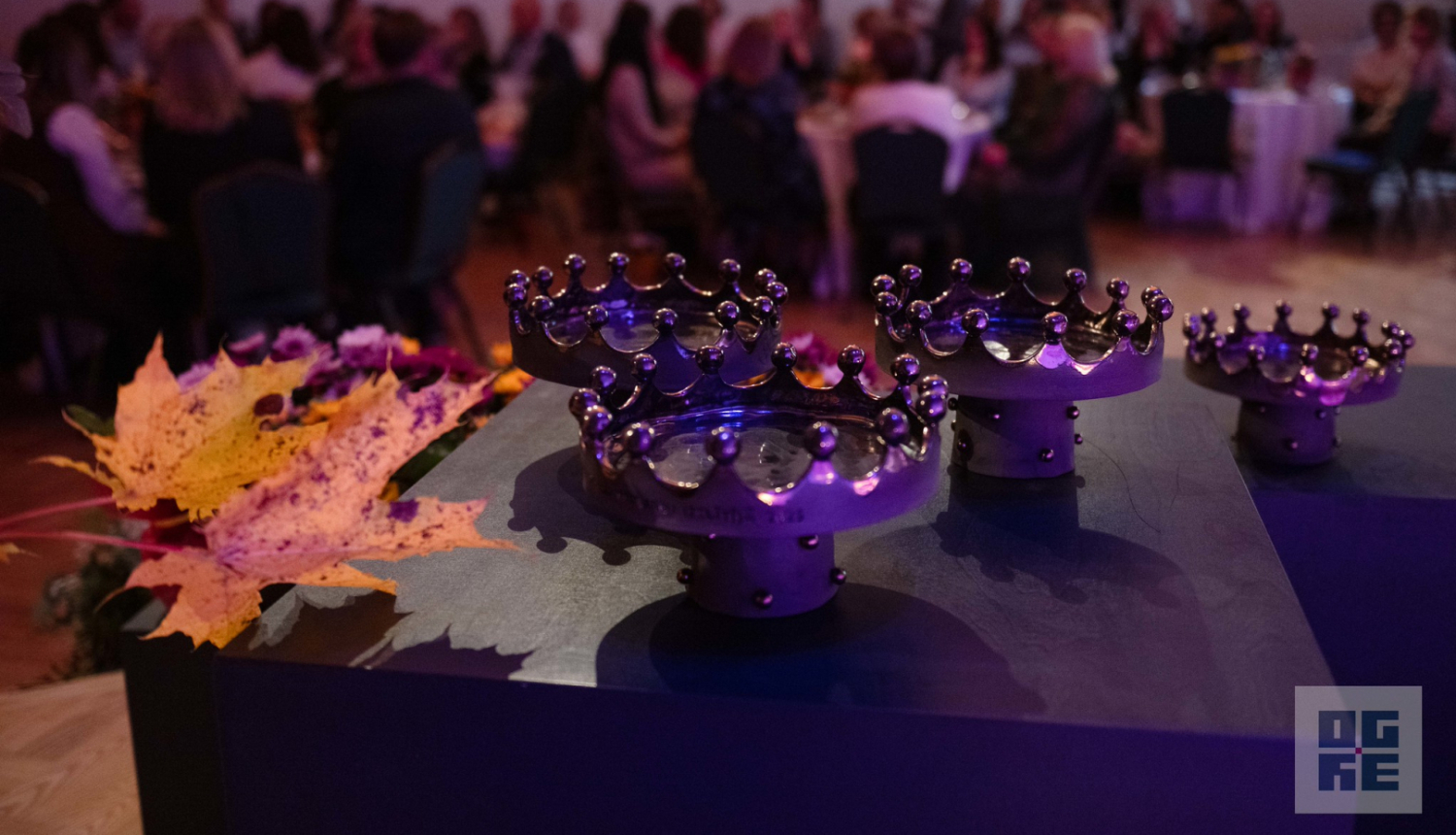 Balva “Par izcilu kopdarbu izglītībā” 2025