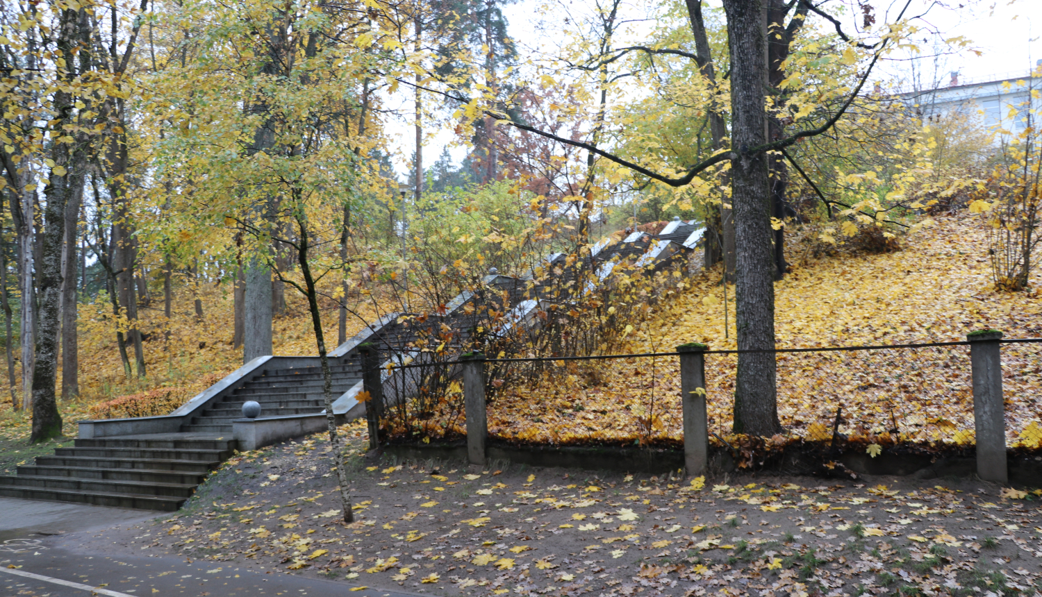 Bērzu alejā tiks izbūvēta velonovietne