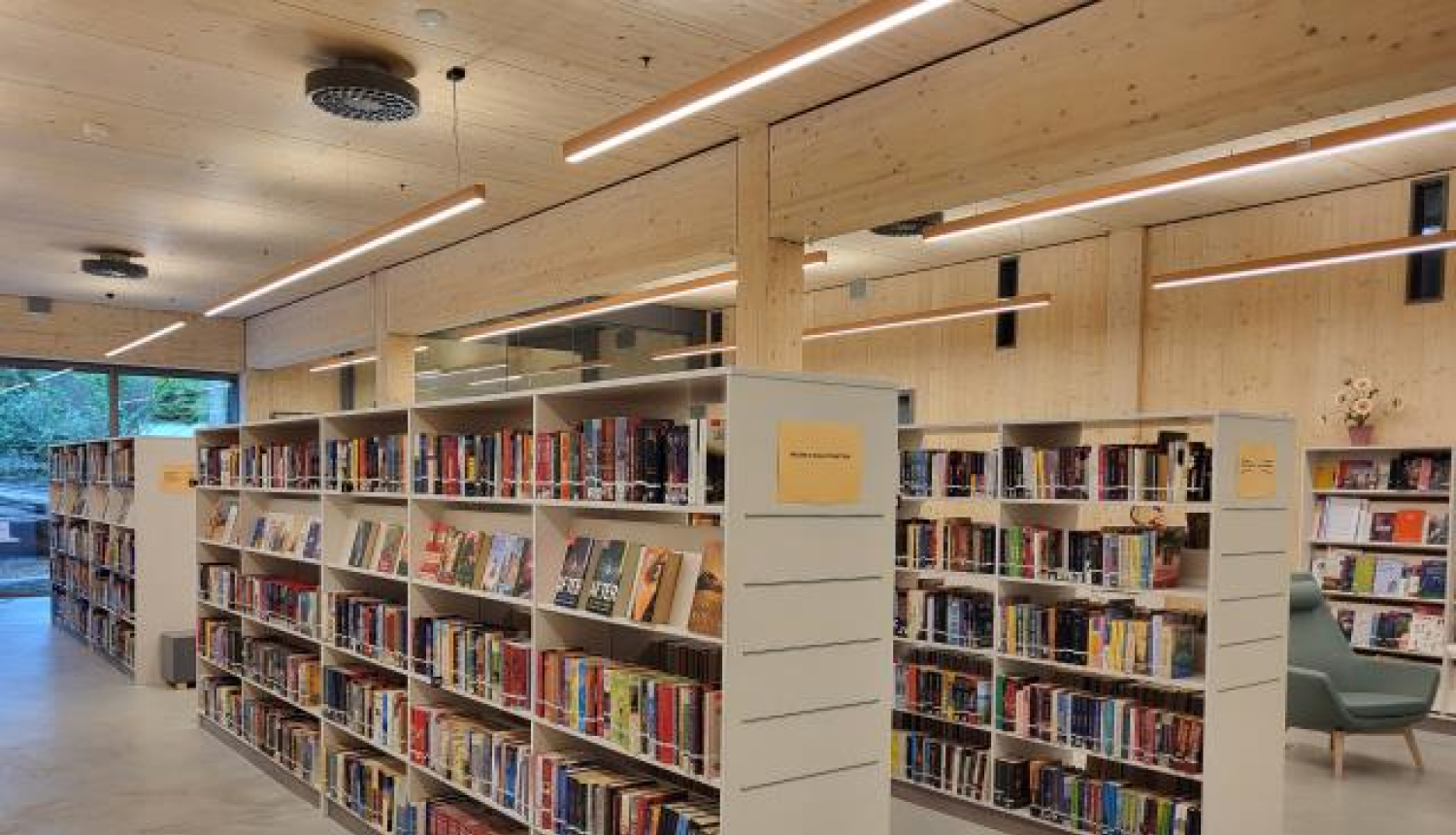 Bibliotēka grāmatas