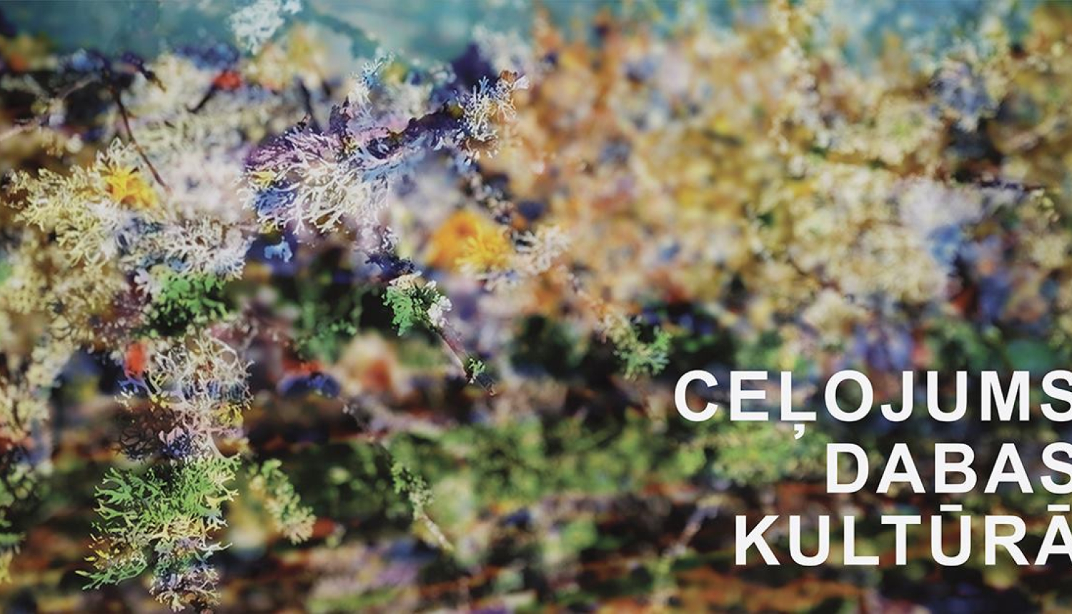 Izstāde “Ceļojums dabas kultūrā”