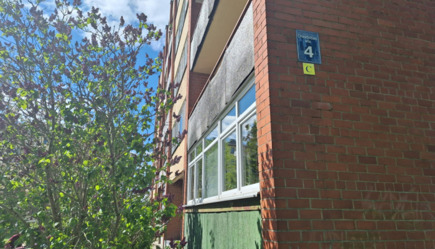 Ēka Draudzības ielā 4 Ogrē, sarkana ķieģeļu siena, blakus ziedošs ceriņkrūms