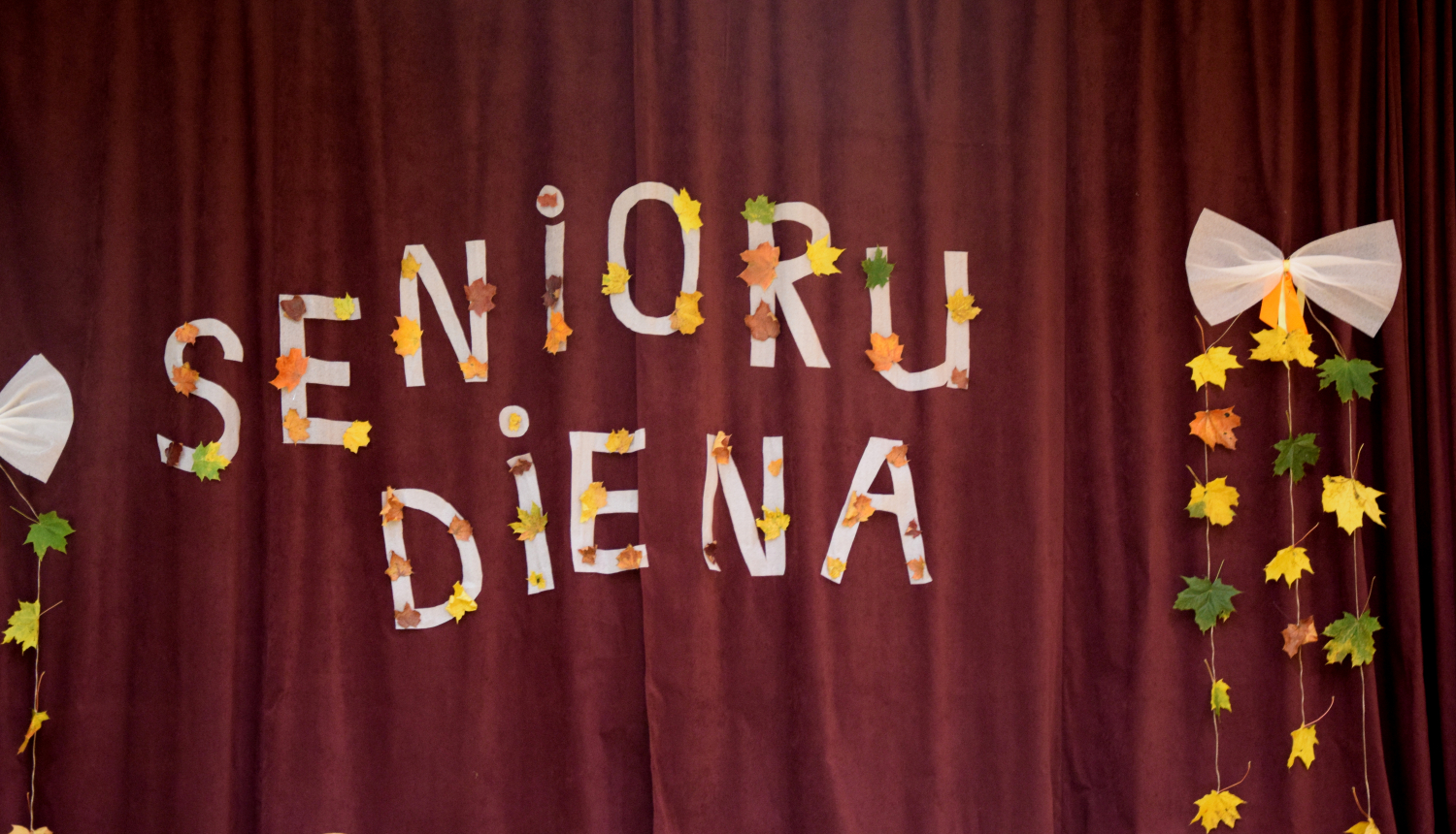 Senioru diena