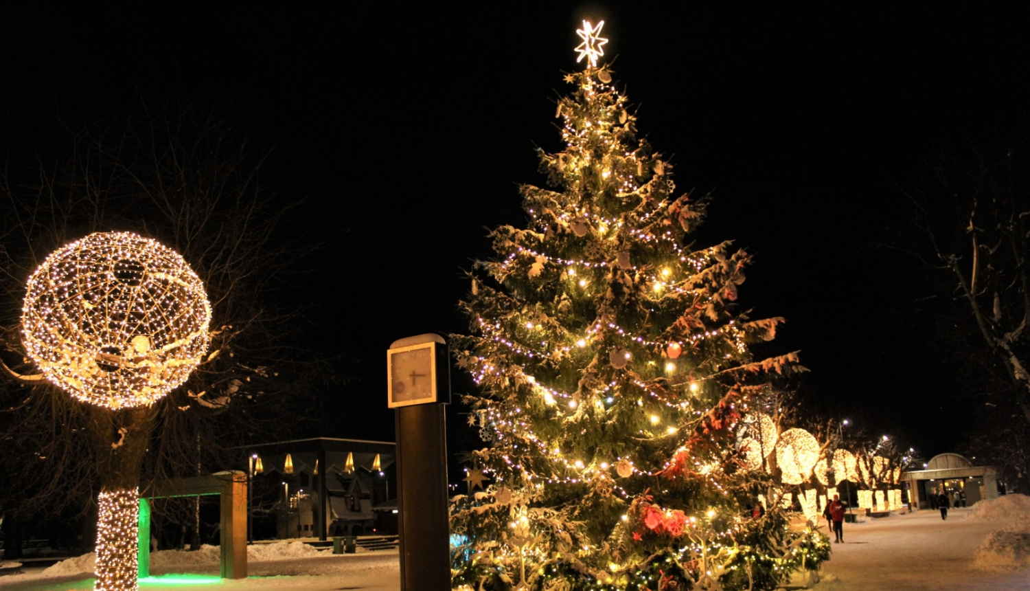 Egle_Ogre_ziema_2022