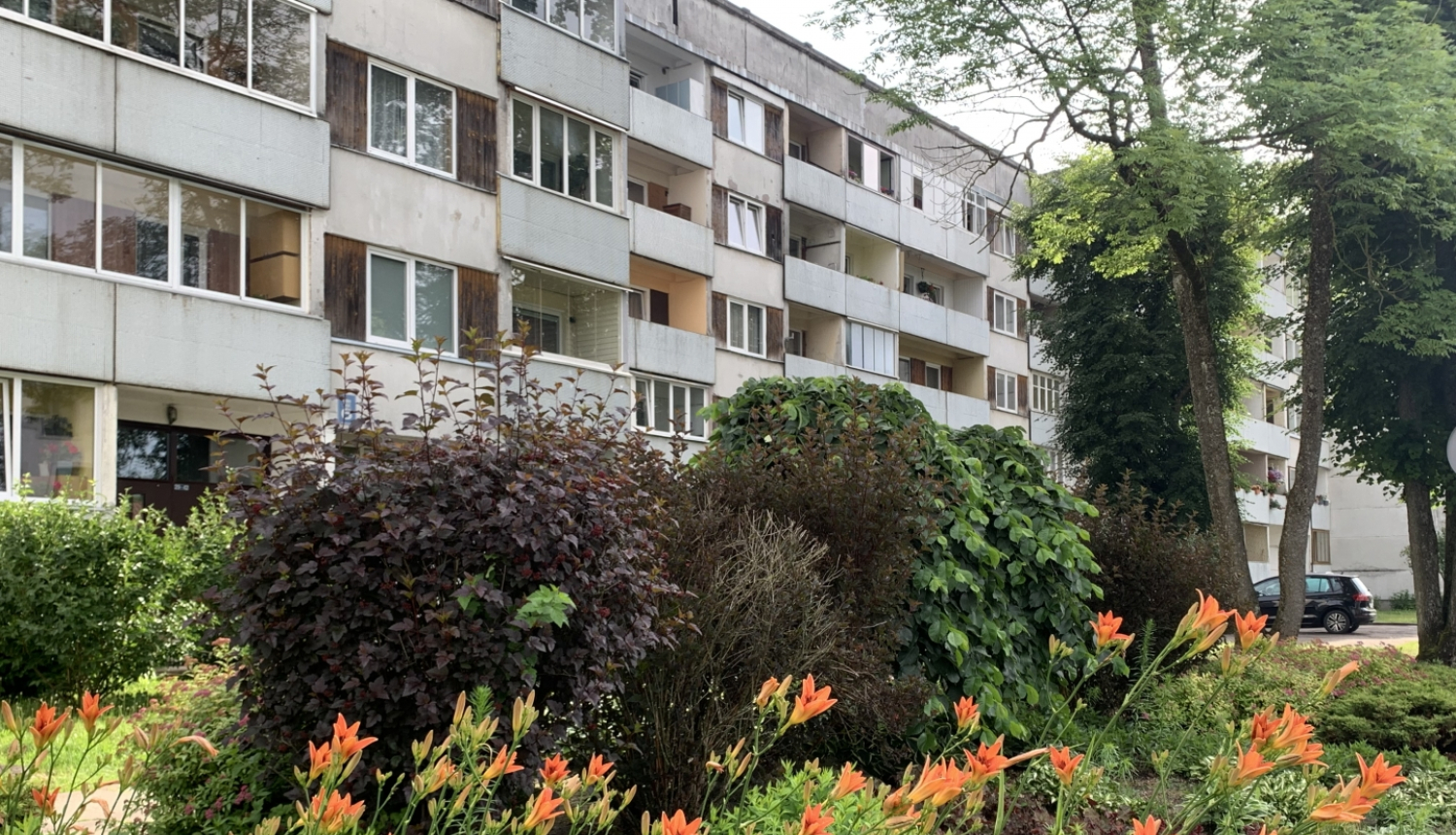 Ziedi, iekšpagalms, daudzdzīvokļu nams