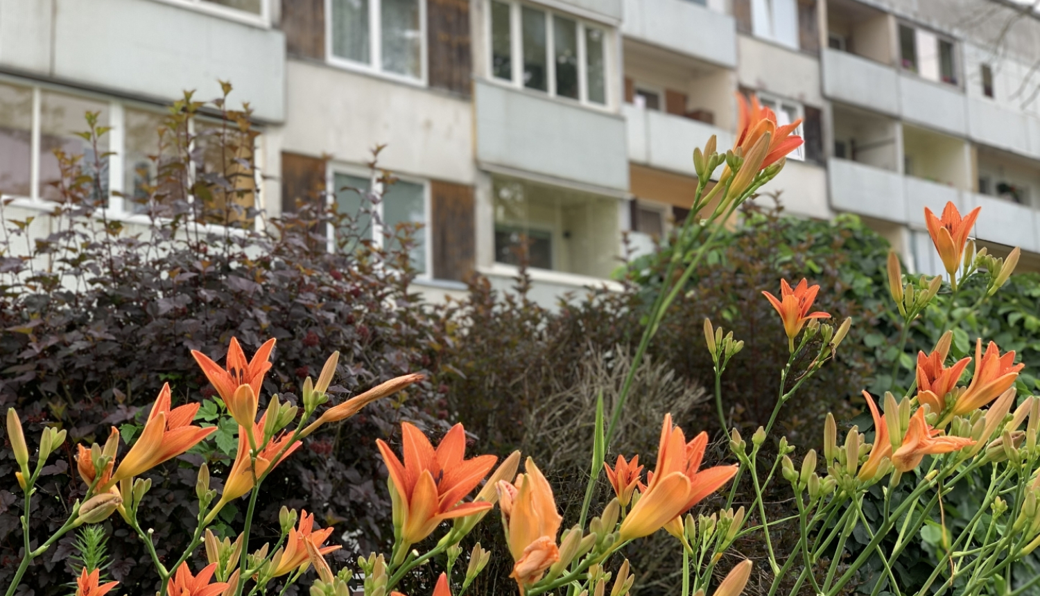 Dienziedes, fonā daudzdzīvokļu nams