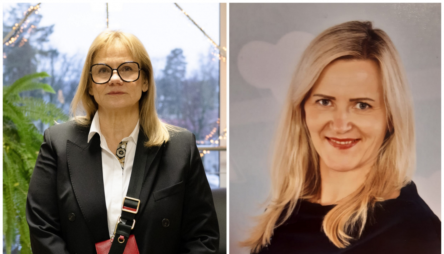 S.Plota un S. Šika kolāža