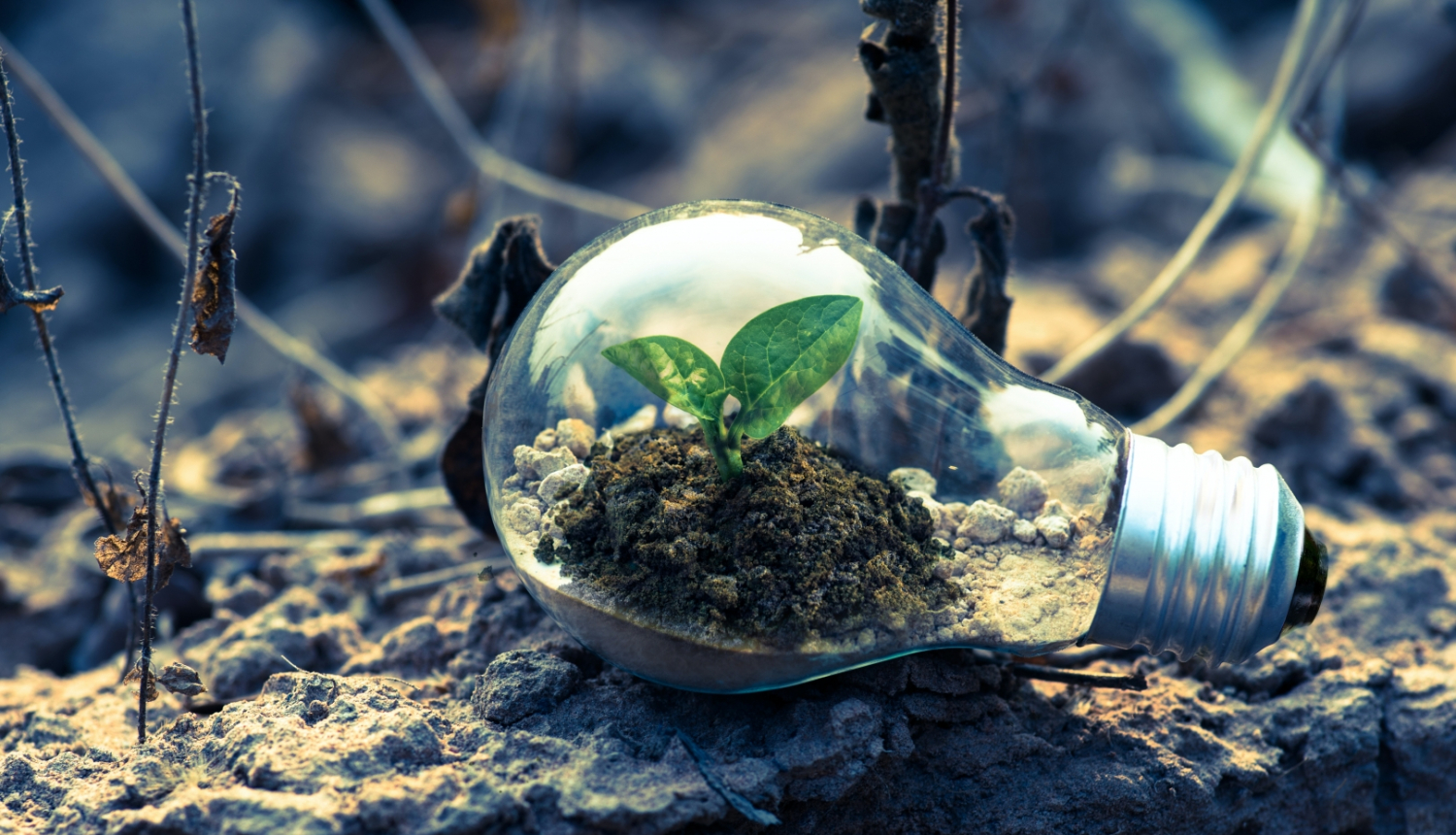 Izglītība_stipendija