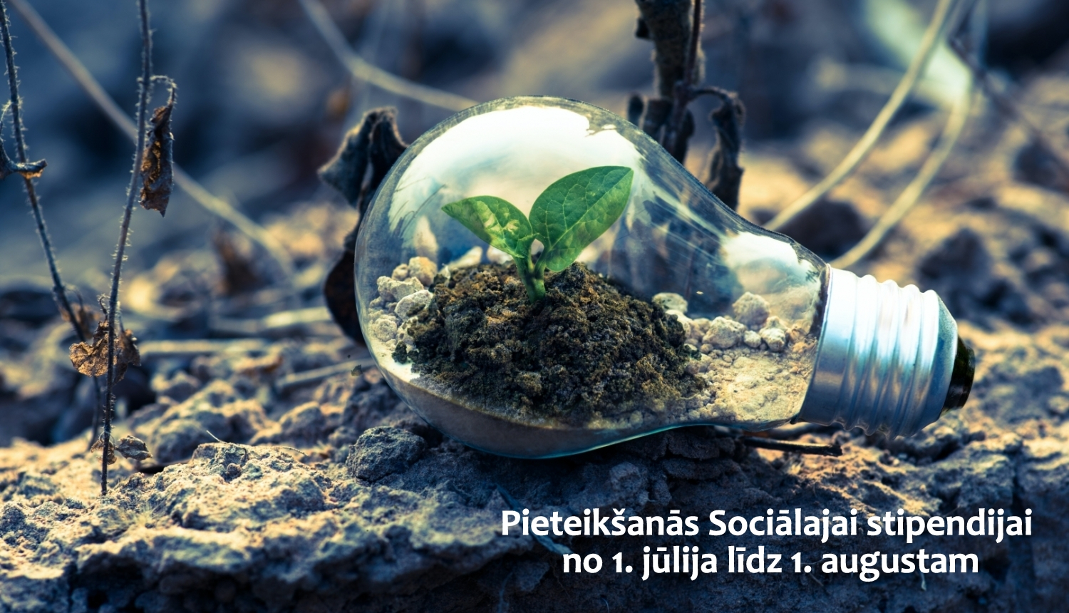 Spuldzīte ar asniņu, pieteikšanās sociālajai stipendijai  no 1. jūlija līdz 1. augustam. 