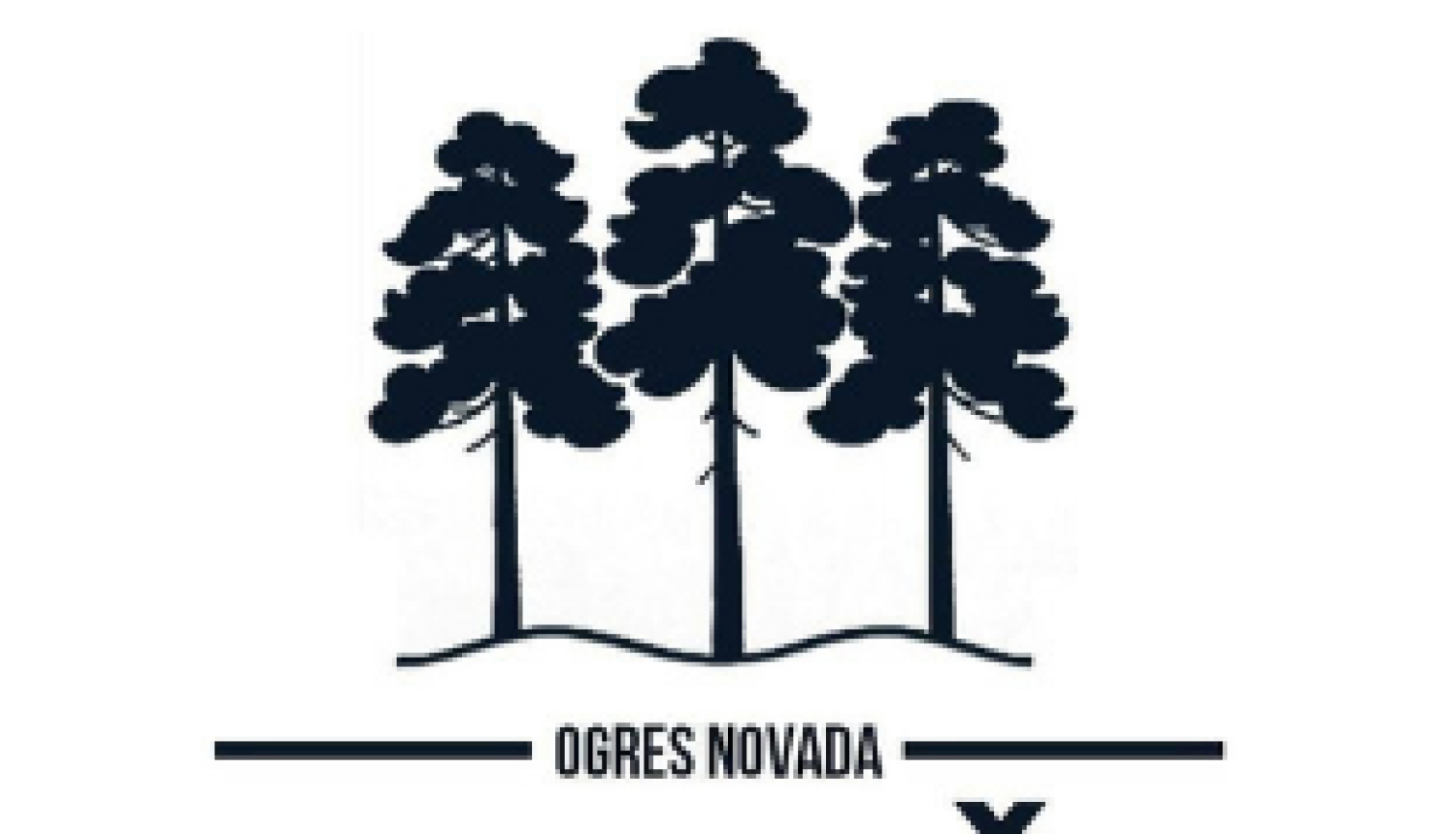 Jauniešu domi plānots izveidot kā pašvaldības institūciju