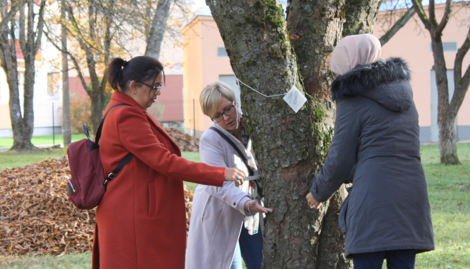 Jaunogres vidusskola popularizē labās prakses pieredzi āra mācīšanās jomā