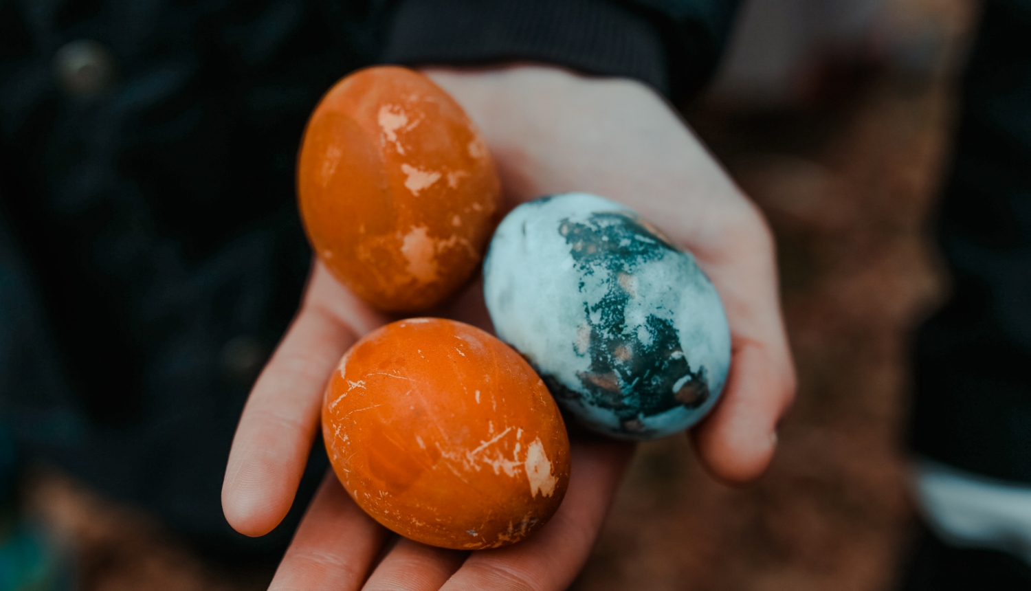 Krāsotas olas_Gundegas Deģes foto