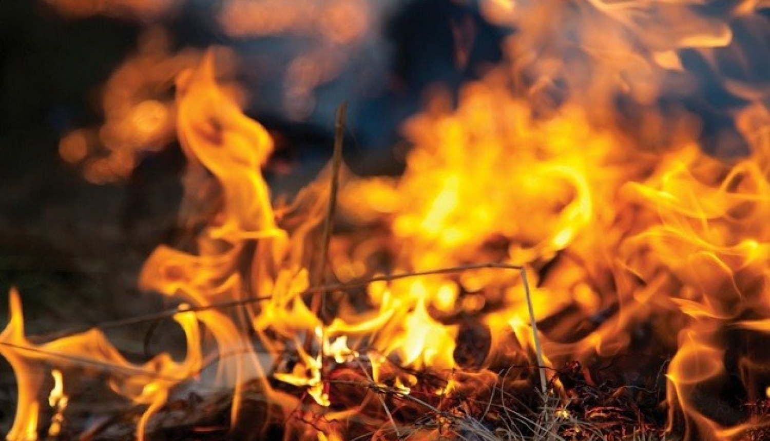 Kūlas dedzināšana ir bīstama un aizliegta!