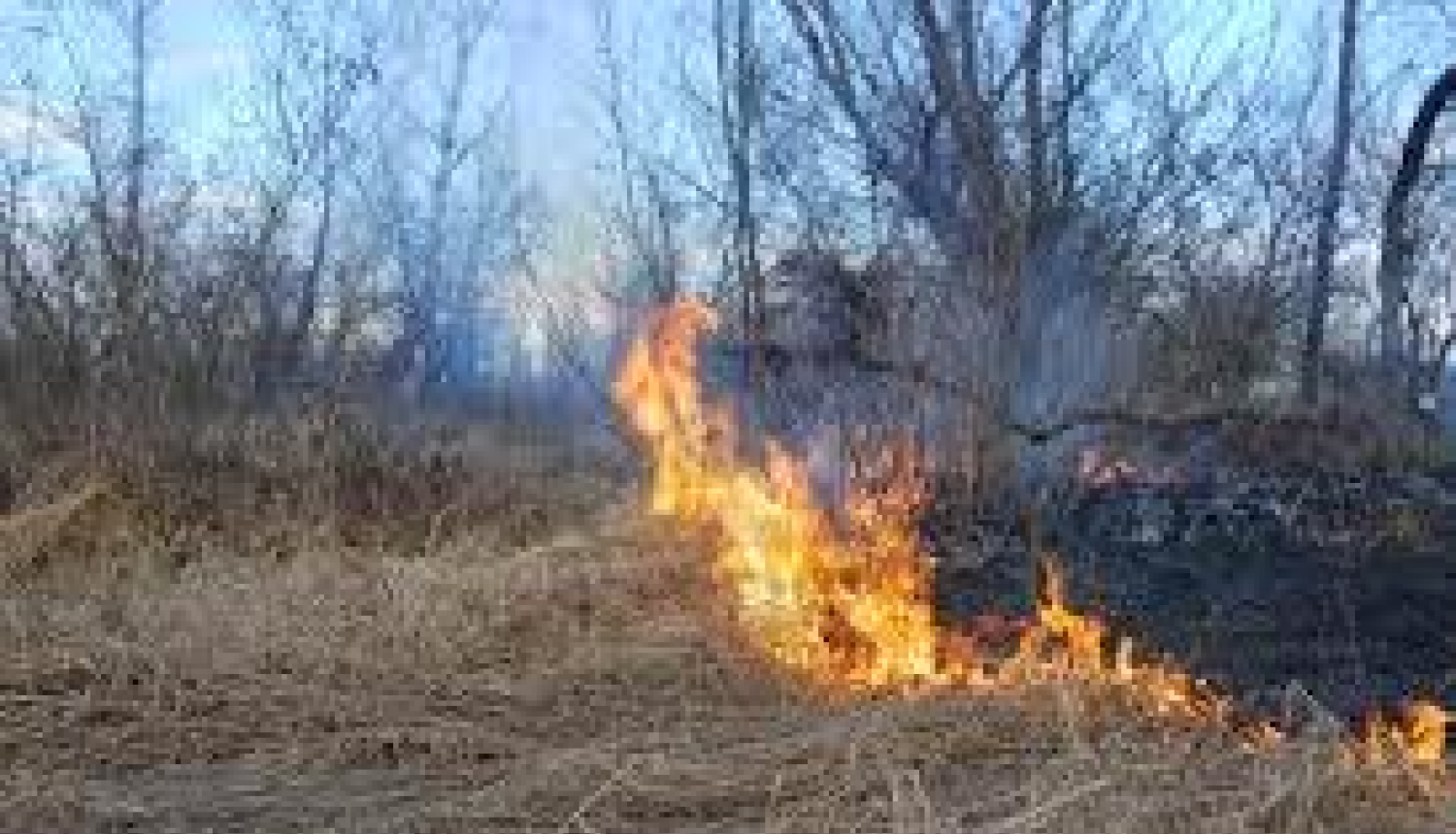 Nededziniet kūlu! Nededziniet savu zemi!