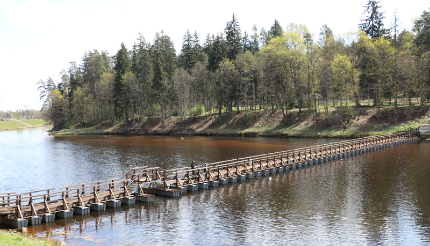 Ogres upē atgriezusies laipa