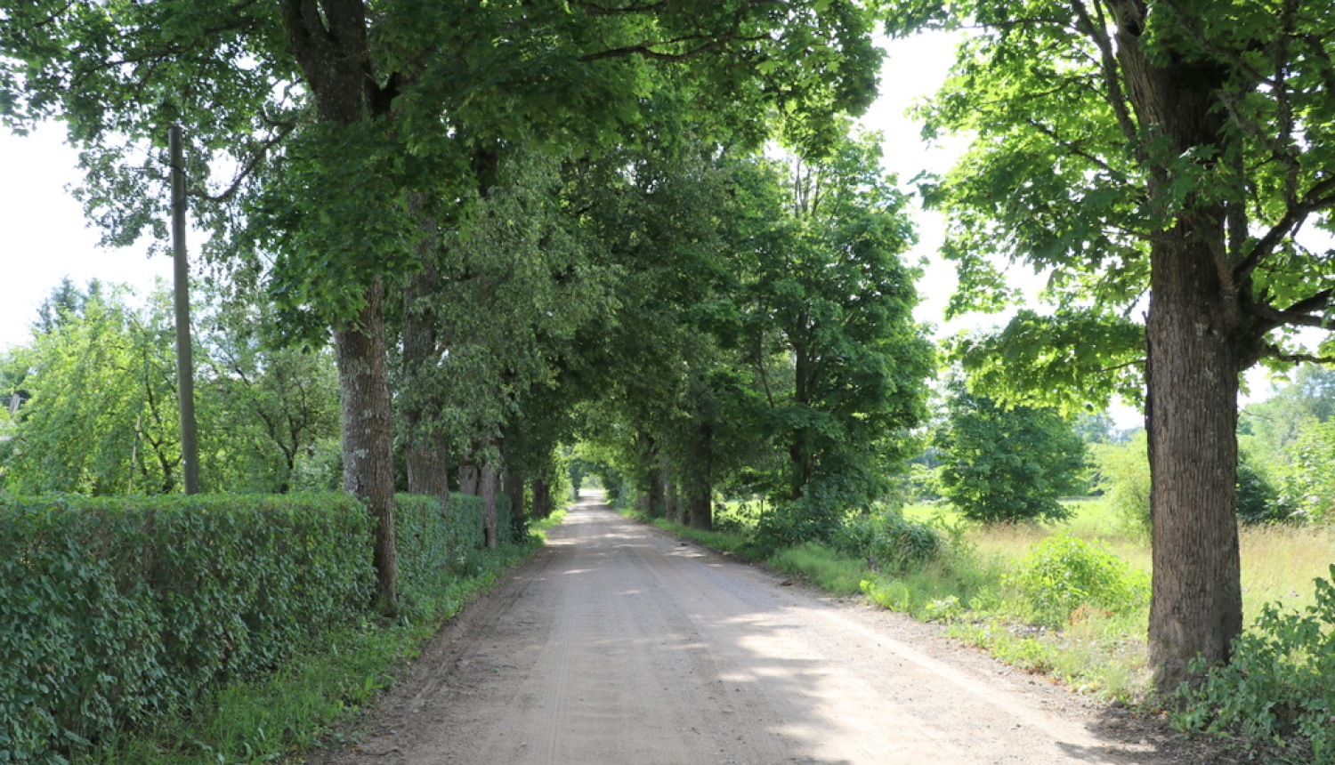 Uzsāks grants ceļu pārbūvi Ogresgalā un Suntažos