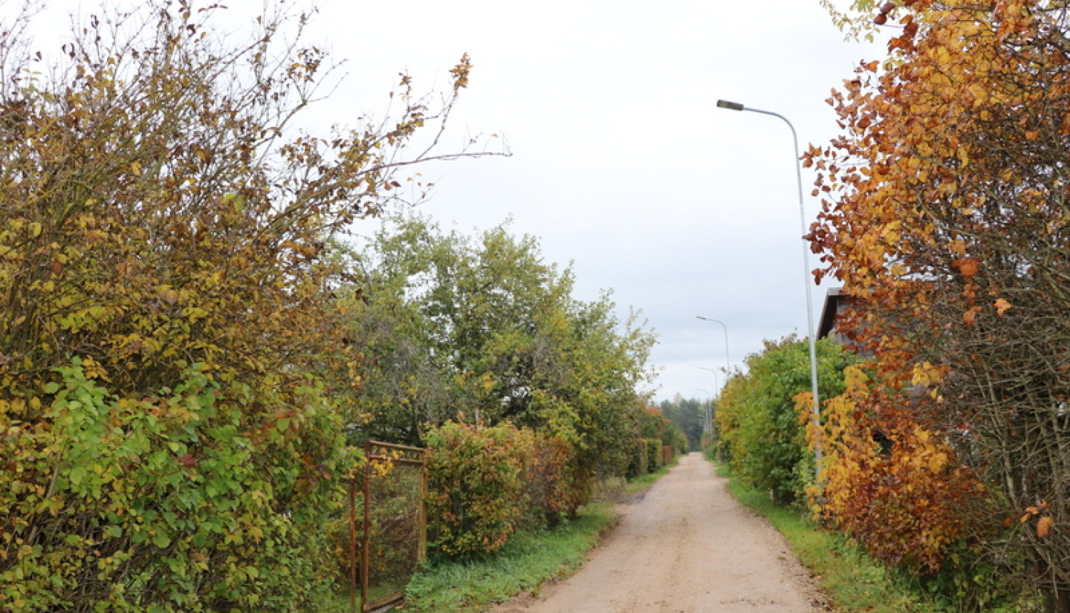 Lašupēs tiks veikta traucējošo zaru apzāģēšana