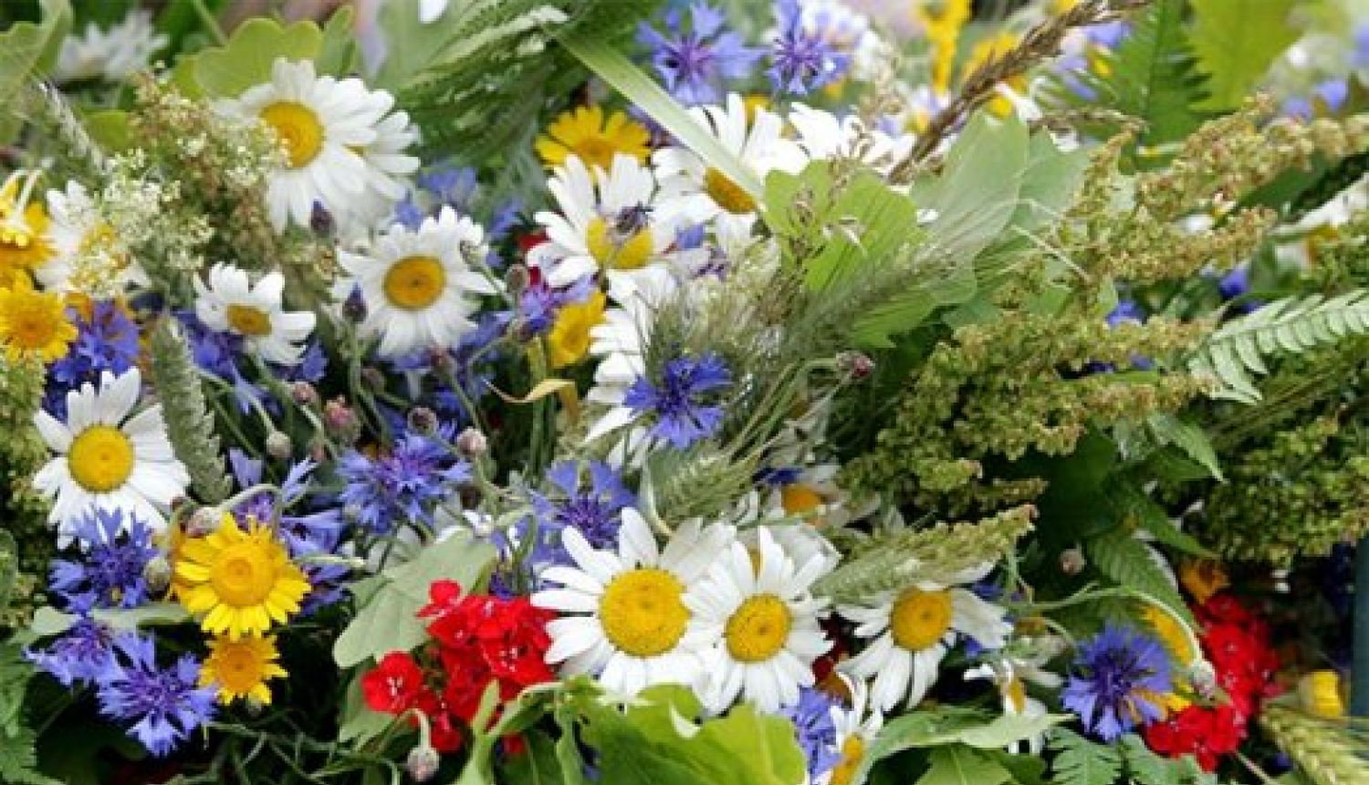 Līgo ziedu pušķis