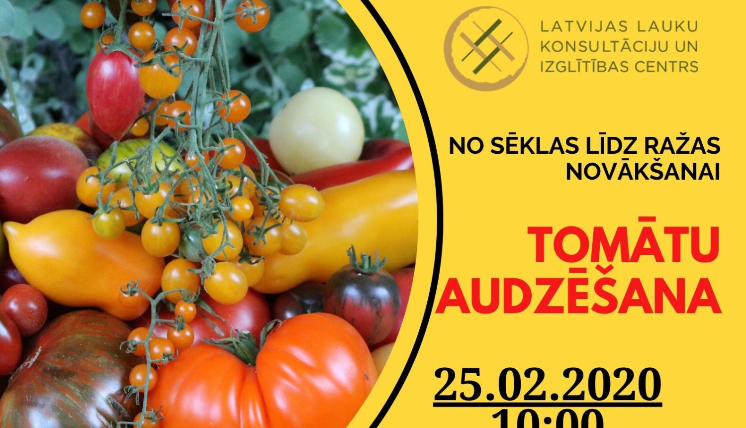 LLKC aicina uz informatīvu bezmaksas semināru par tomātu audzēšanu