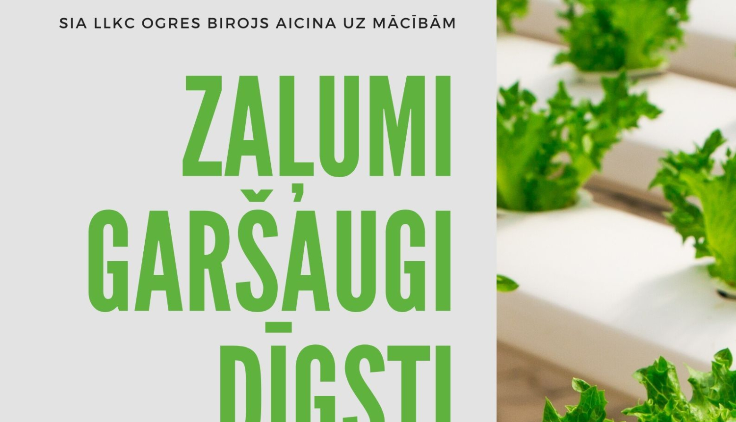 Aicina uz mācībām par par zaļumiem, garšaugiem, dīgstiem jeb mikrozaļumiem, kā arī gurķiem