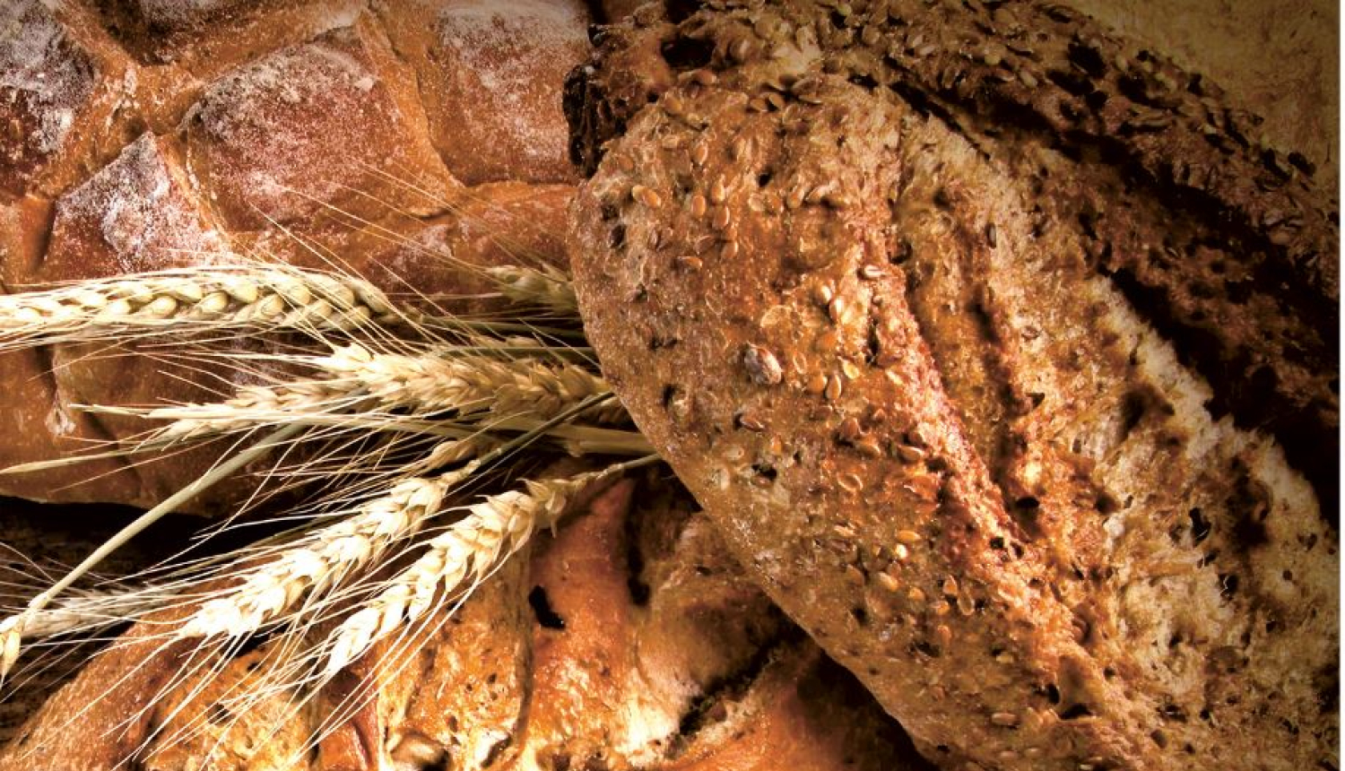 22. maijā Ogrē norisināsies PAVASARA TIRDZIŅŠ