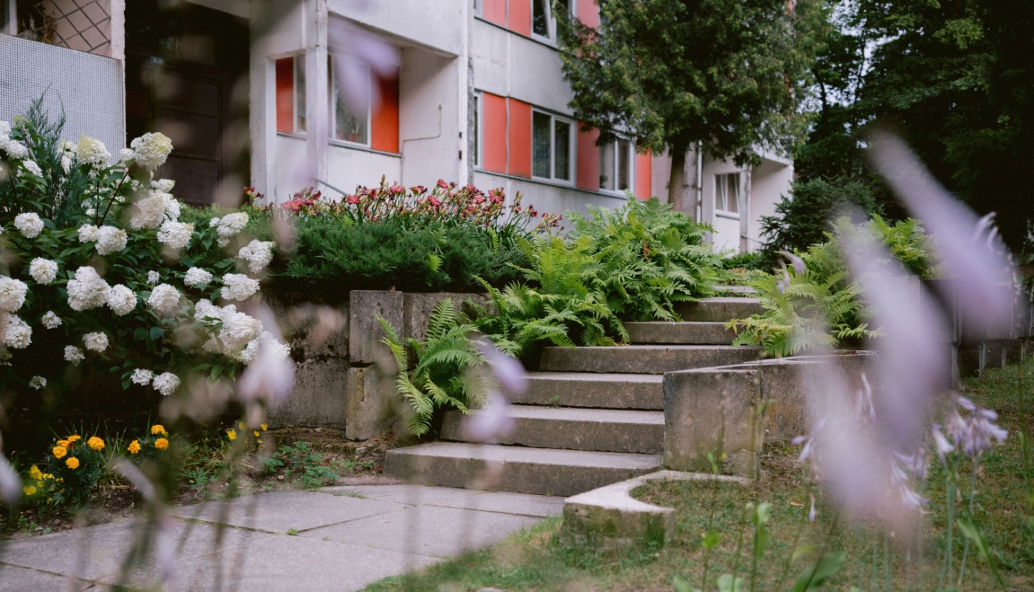 Daudzdzīvokļu mājas Ogrē, Meža prospektā 6, pagalms ar kāpnēm un ziedošiem augiem