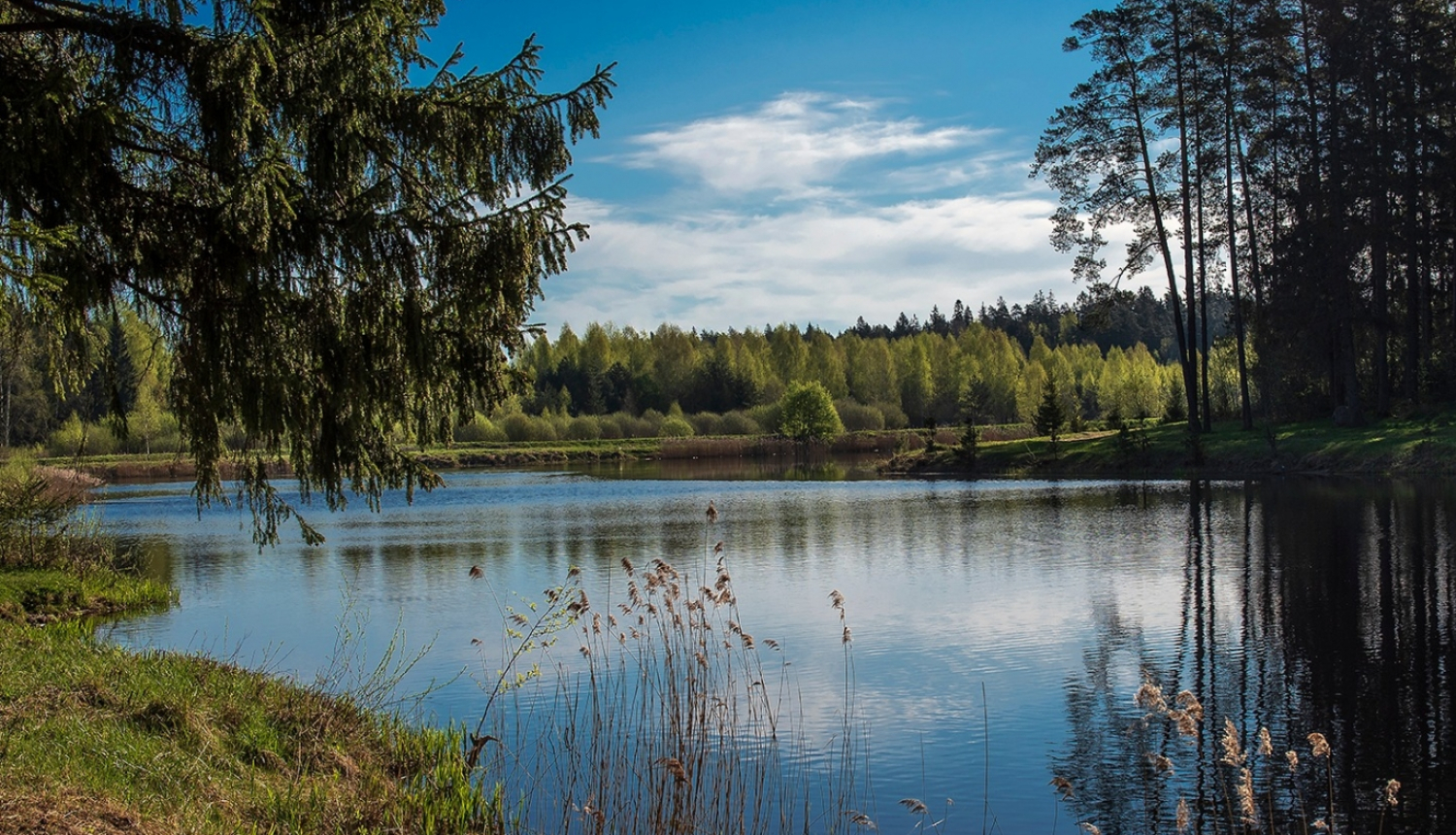 Mežezers Ogres novadā